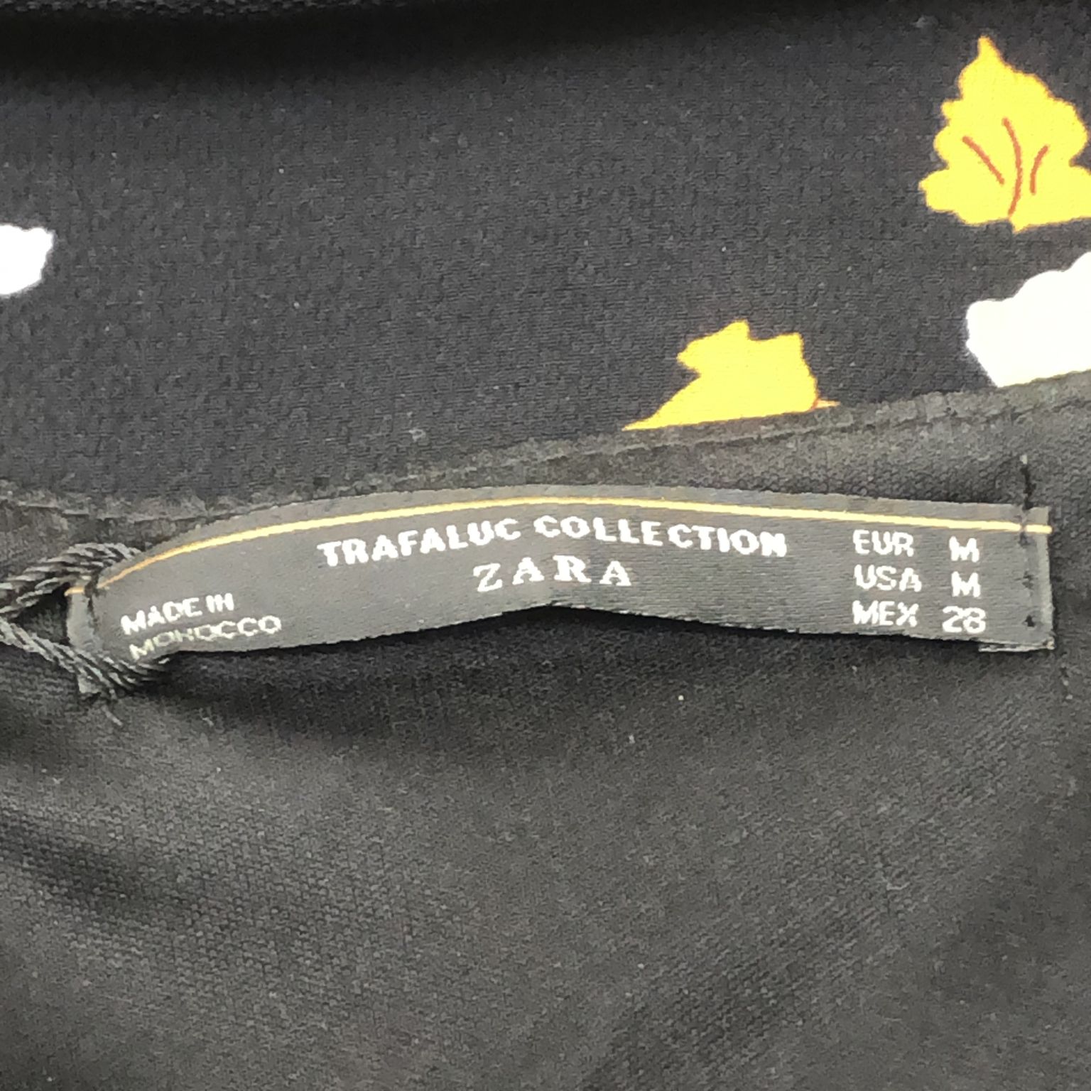 Zara Trafaluc Collection