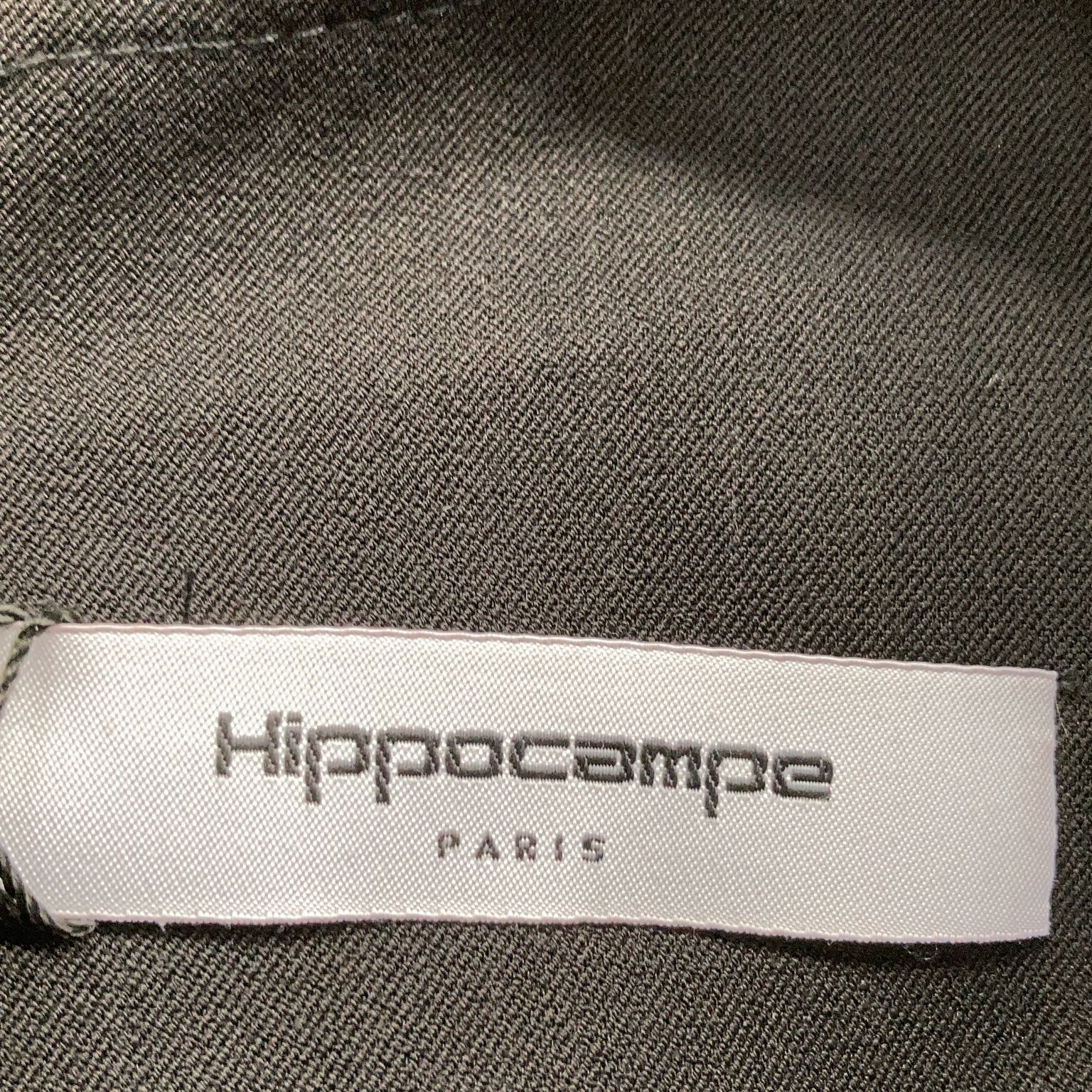 Hippocampe