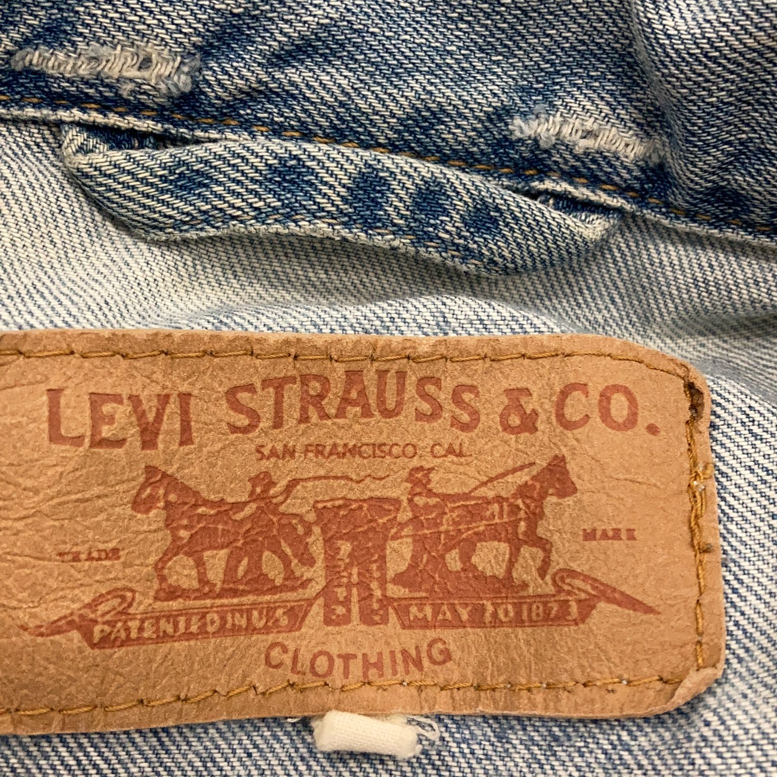 Levi Strauss  Co