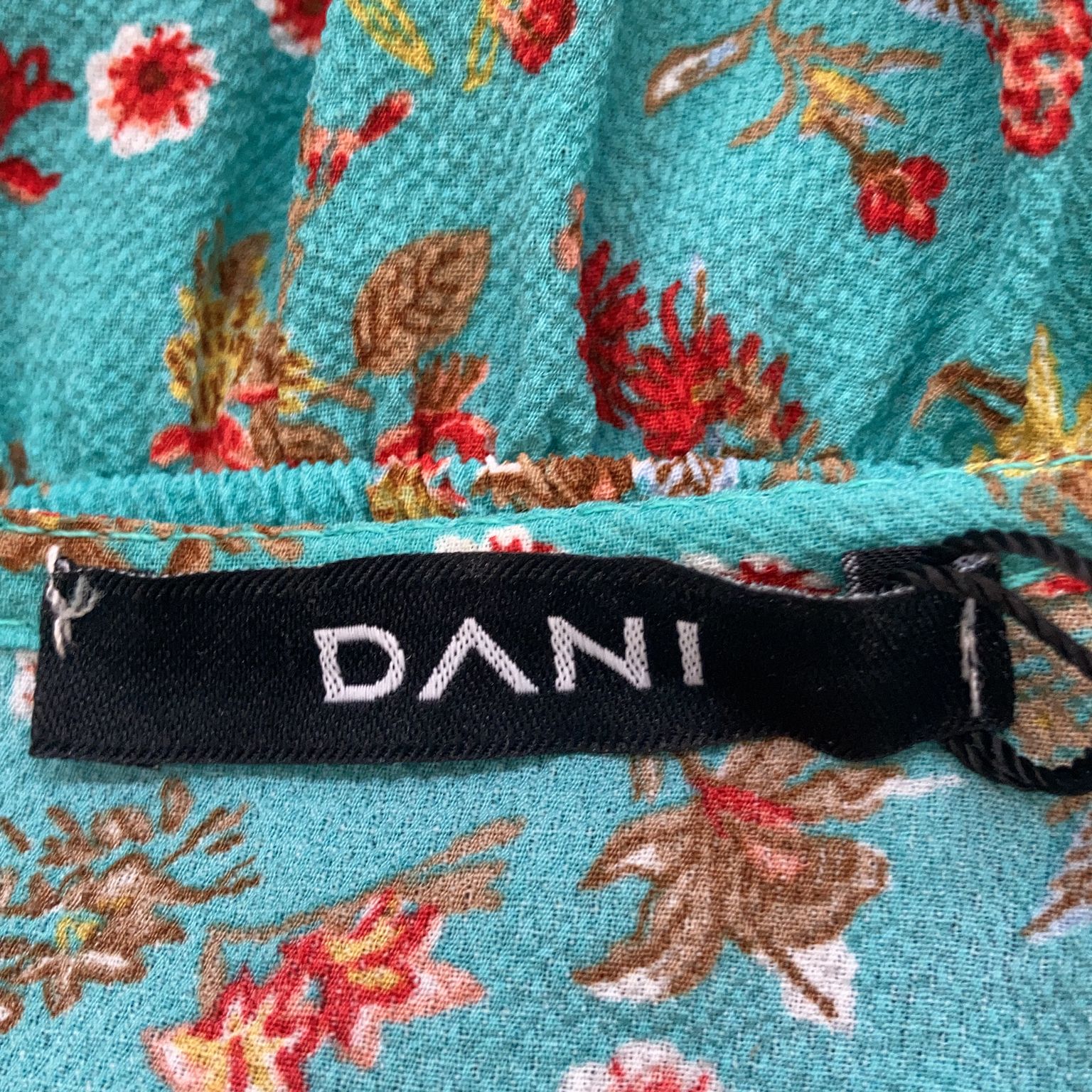 Dani