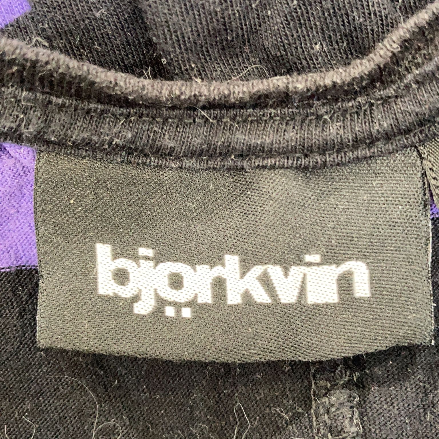 Björkvin