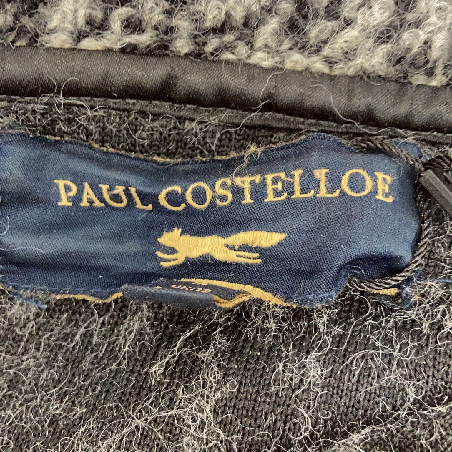 Paul Costelloe