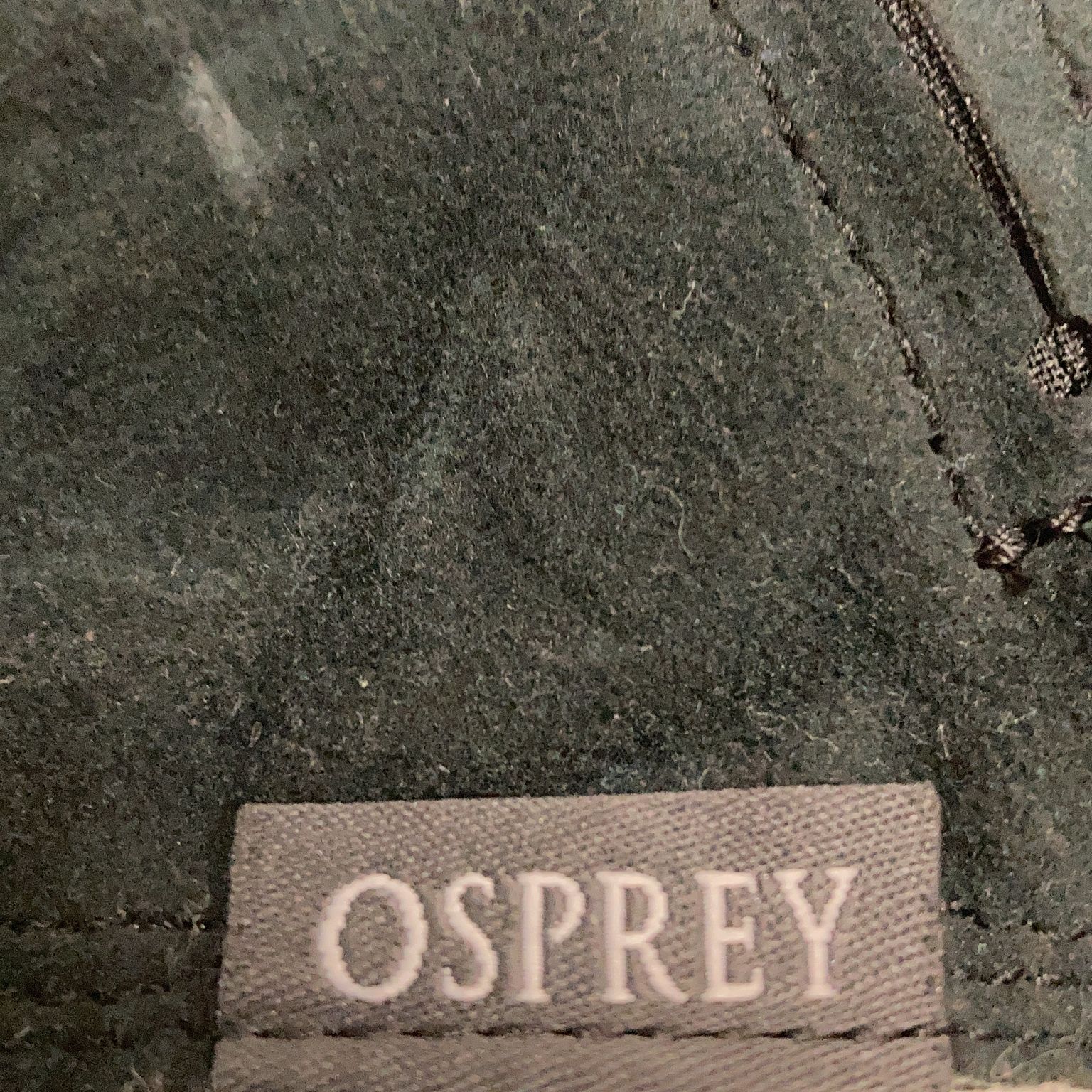 Osprey