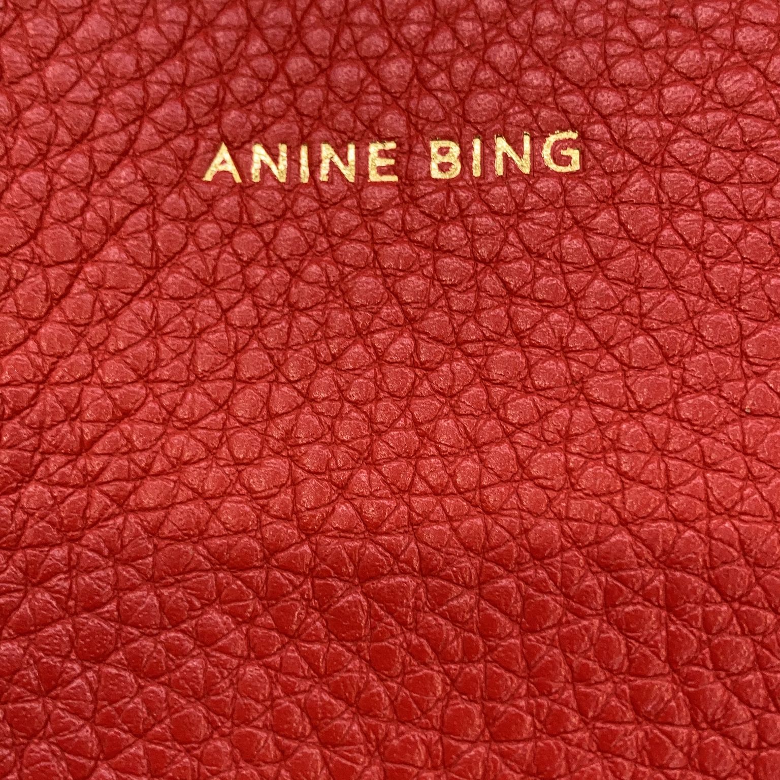 Anine Bing