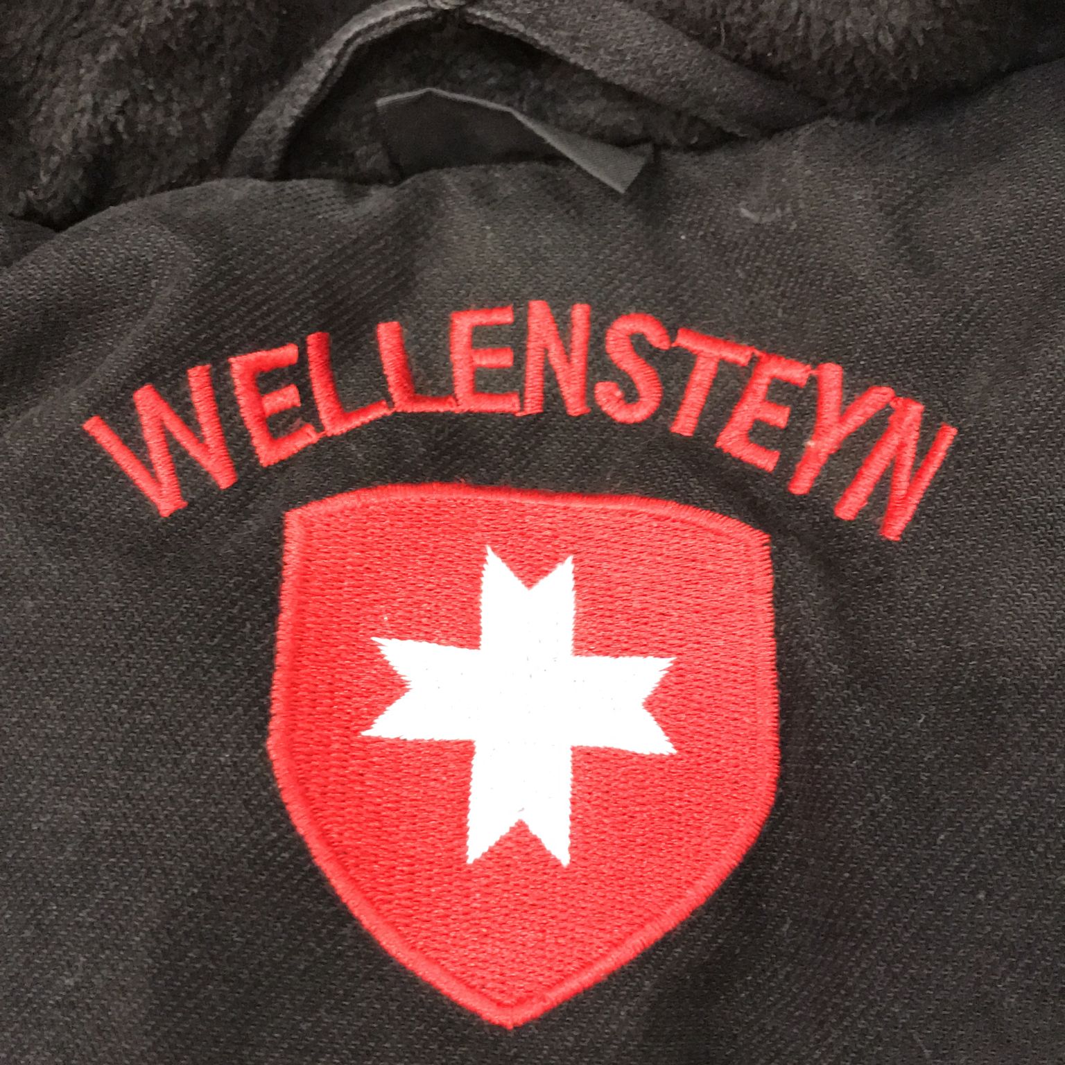 Wellensteyn