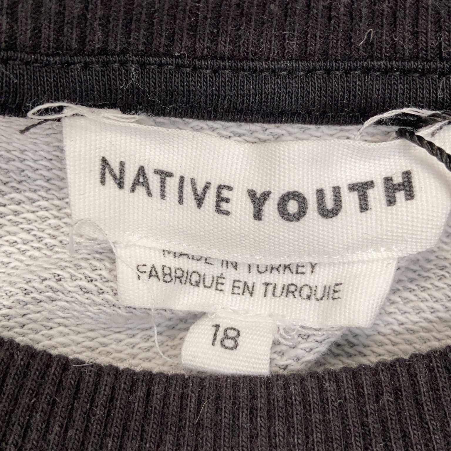 Native Youth