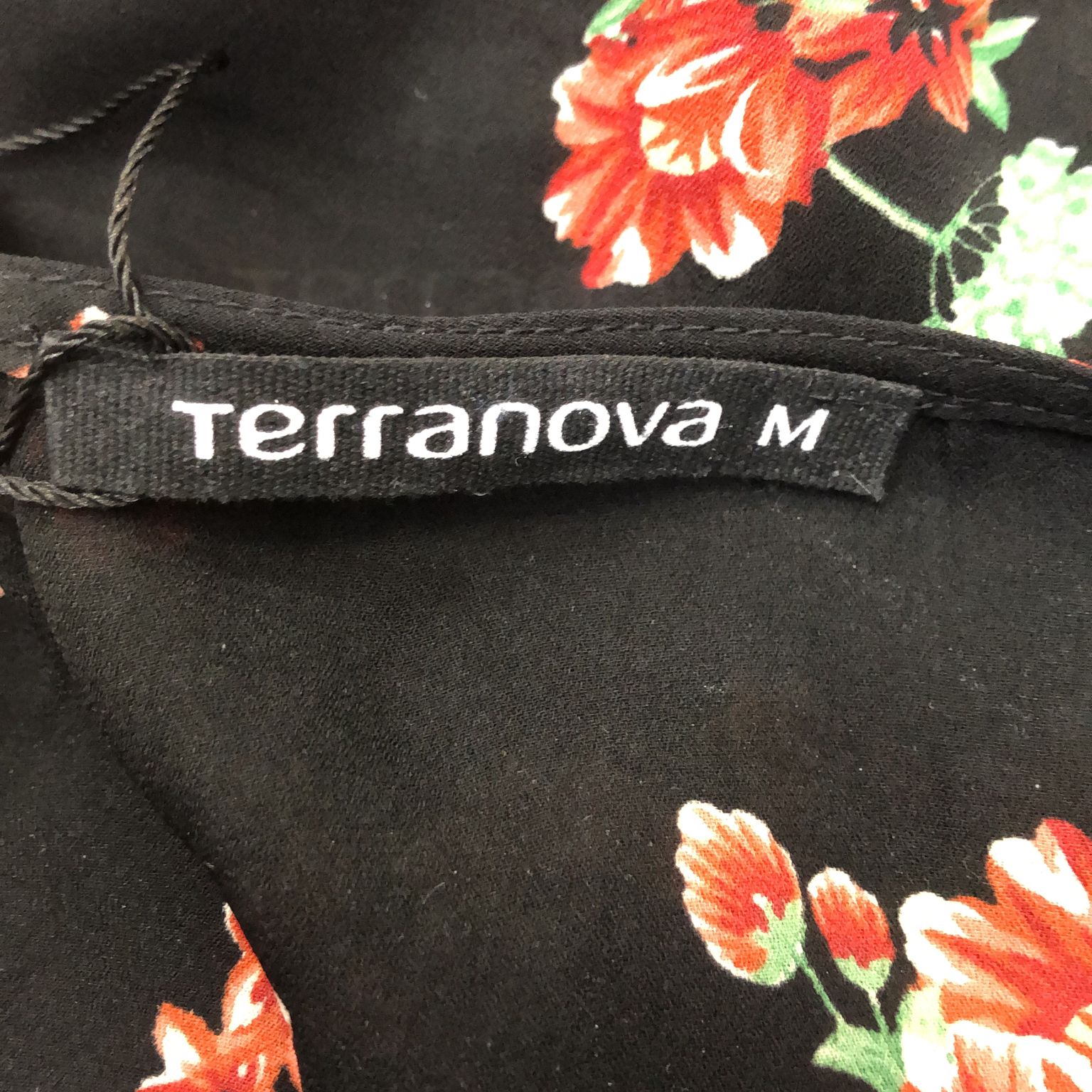 Terranova