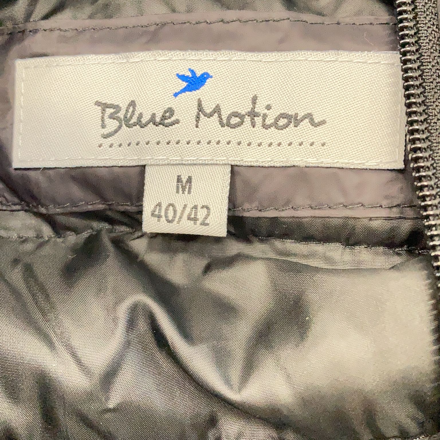 Blue Motion