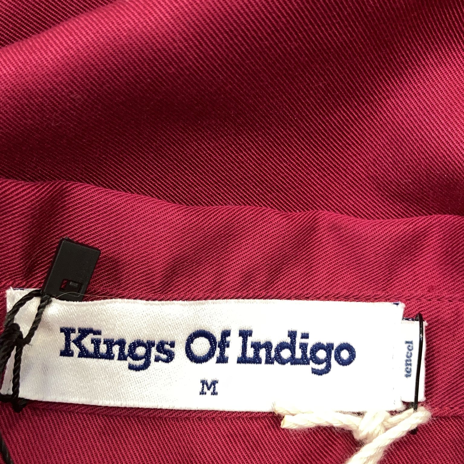 Kings of Indigo