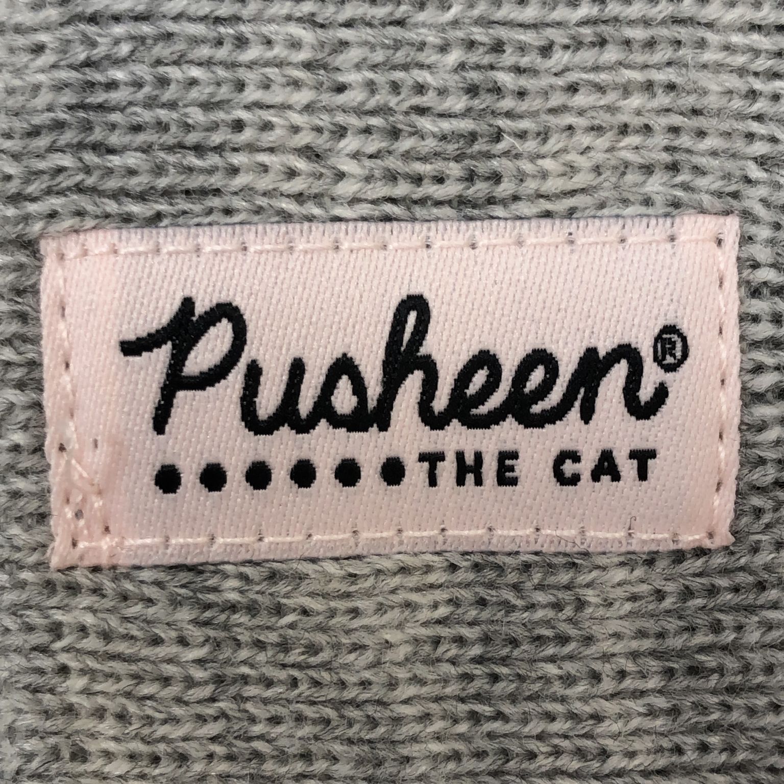 Pusheen