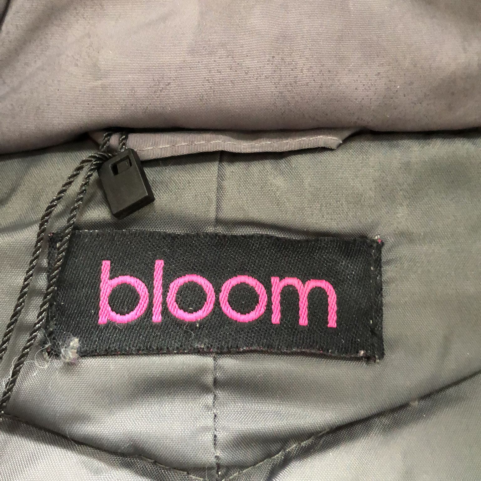 Bloom