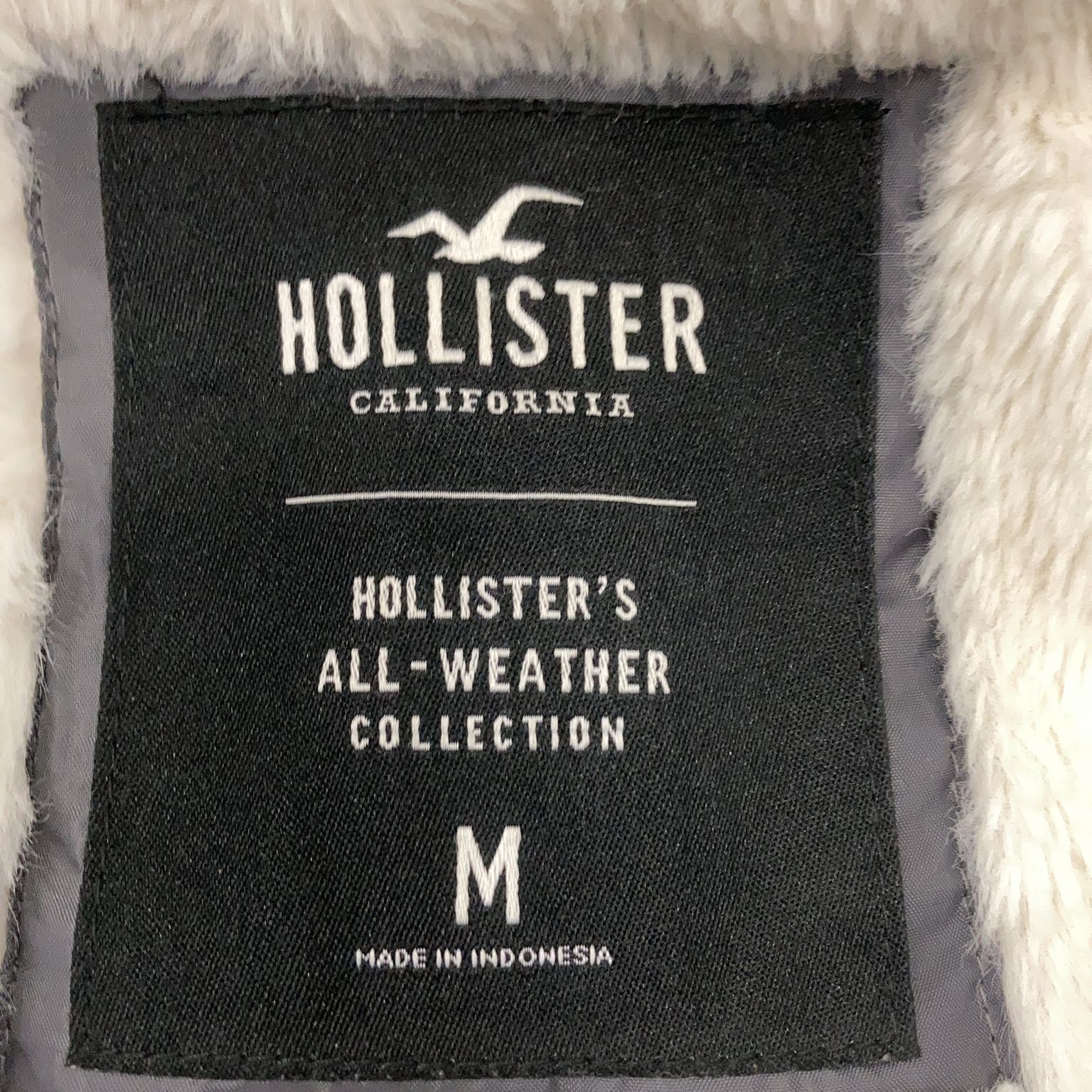 Hollister California