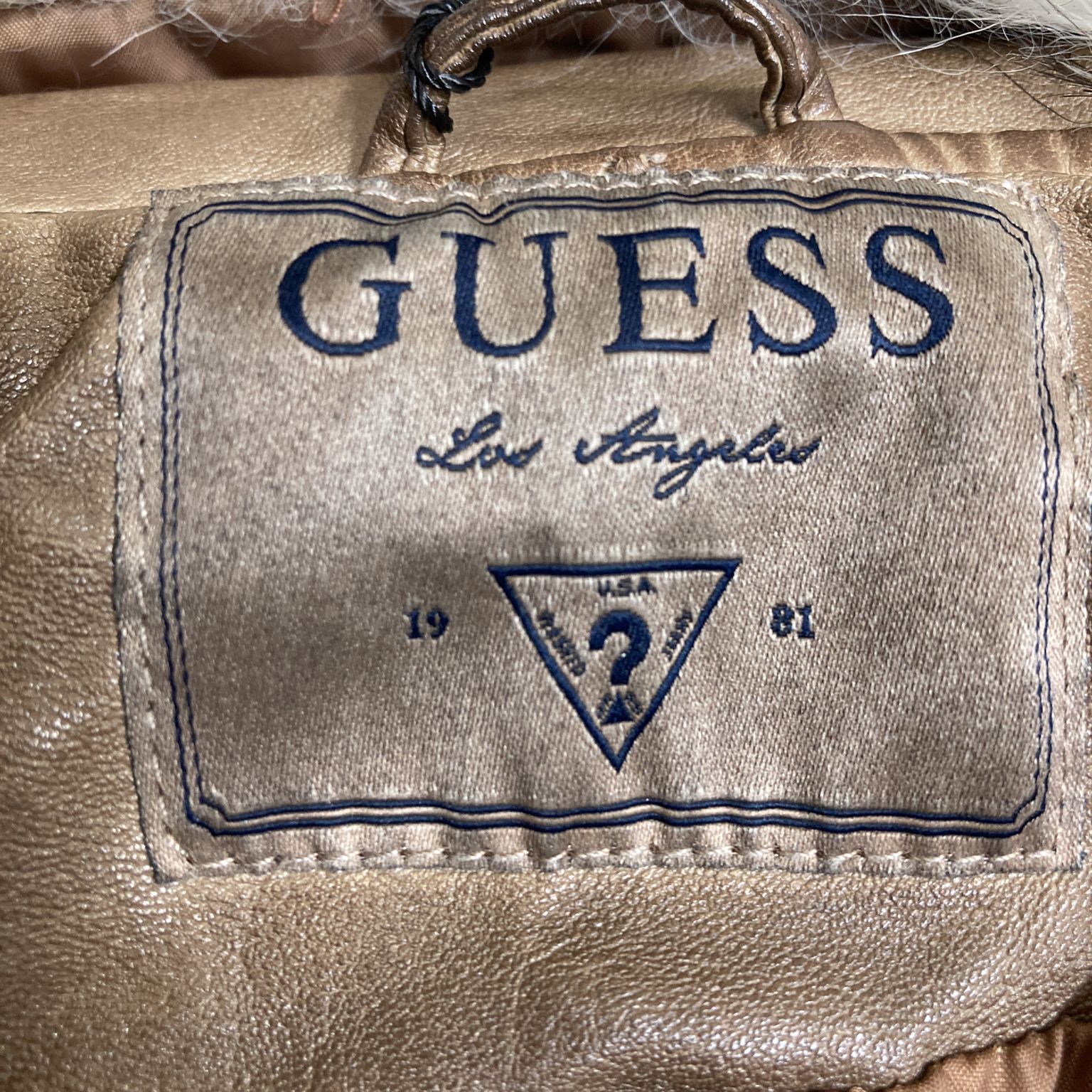 Guess