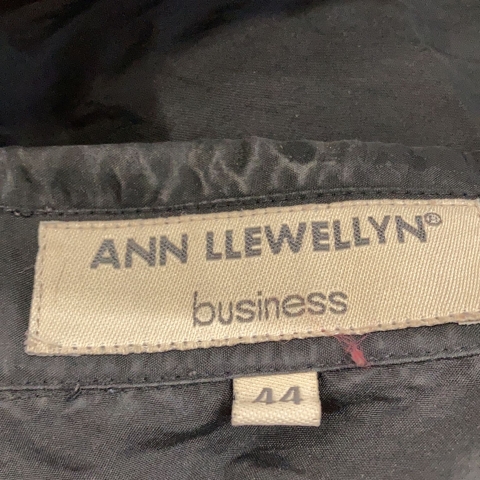 Ann Llewellyn