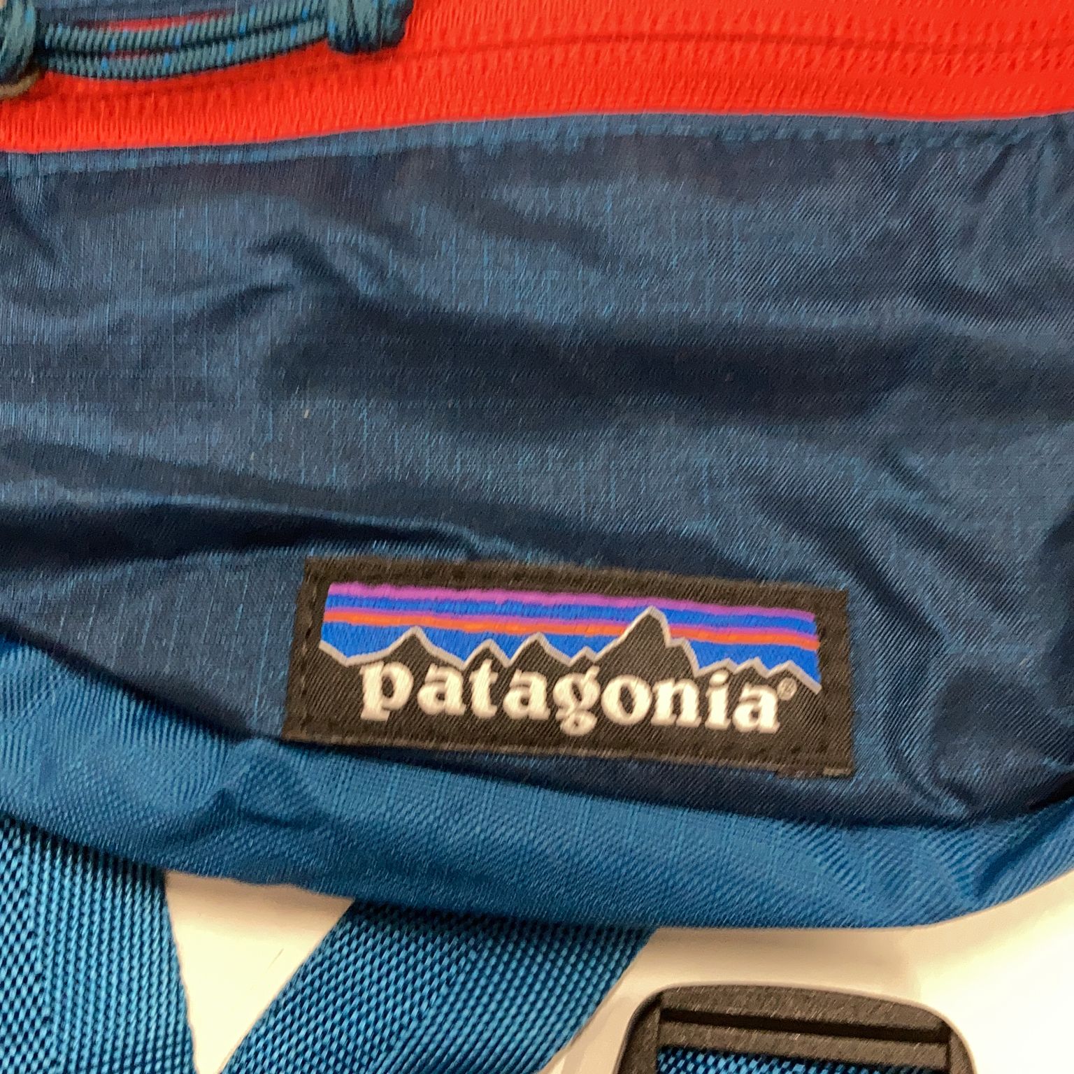 Patagonia