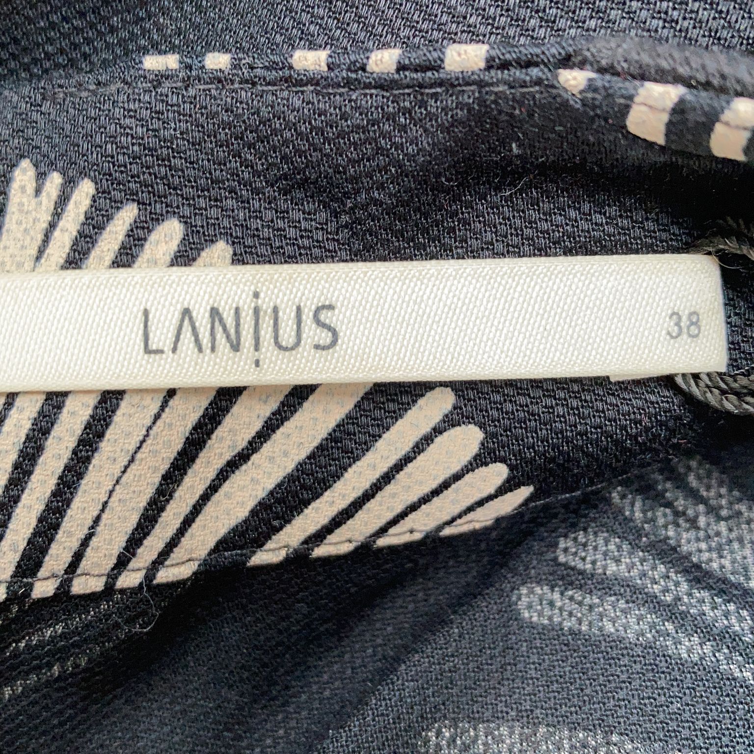 Lanius