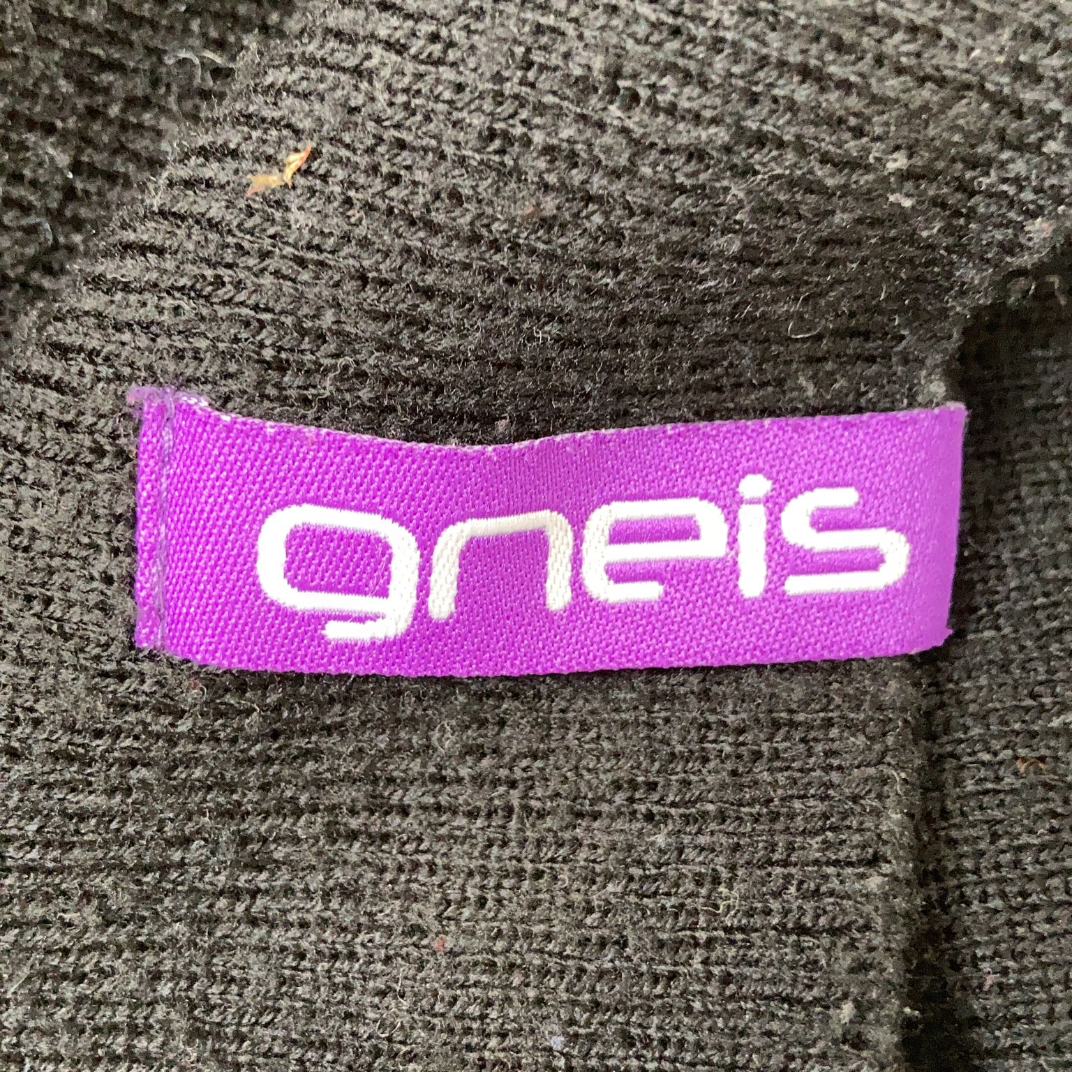 Gneis