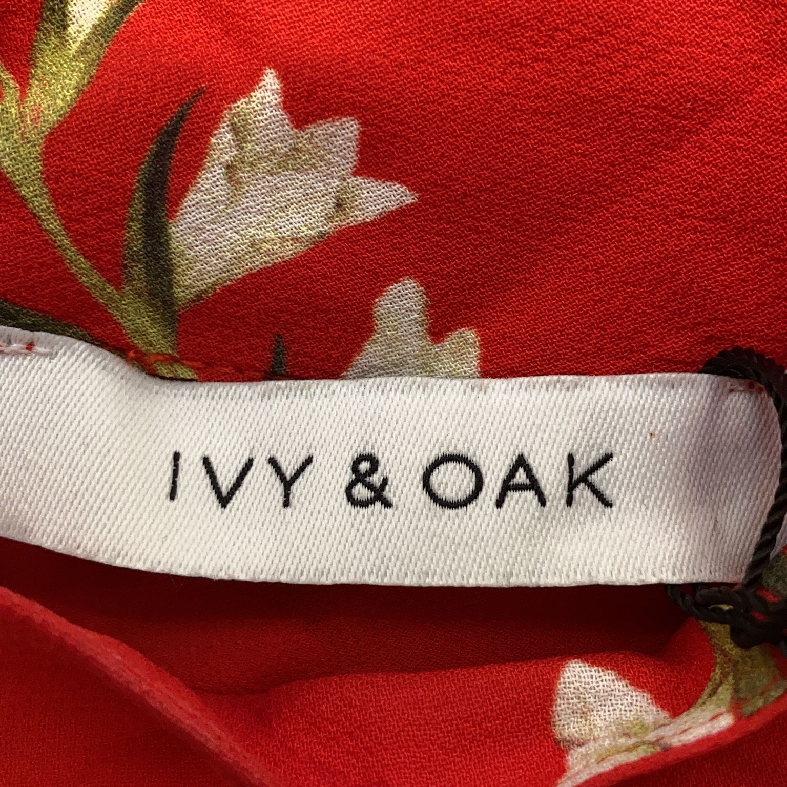 Ivy  Oak