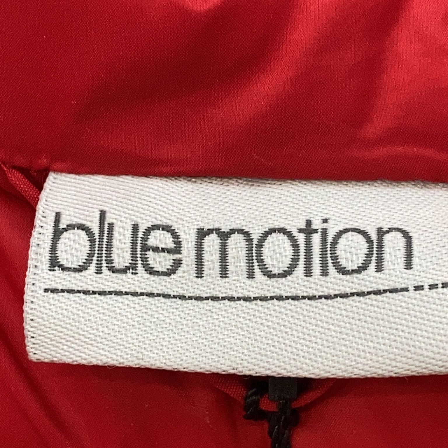 Blue Motion