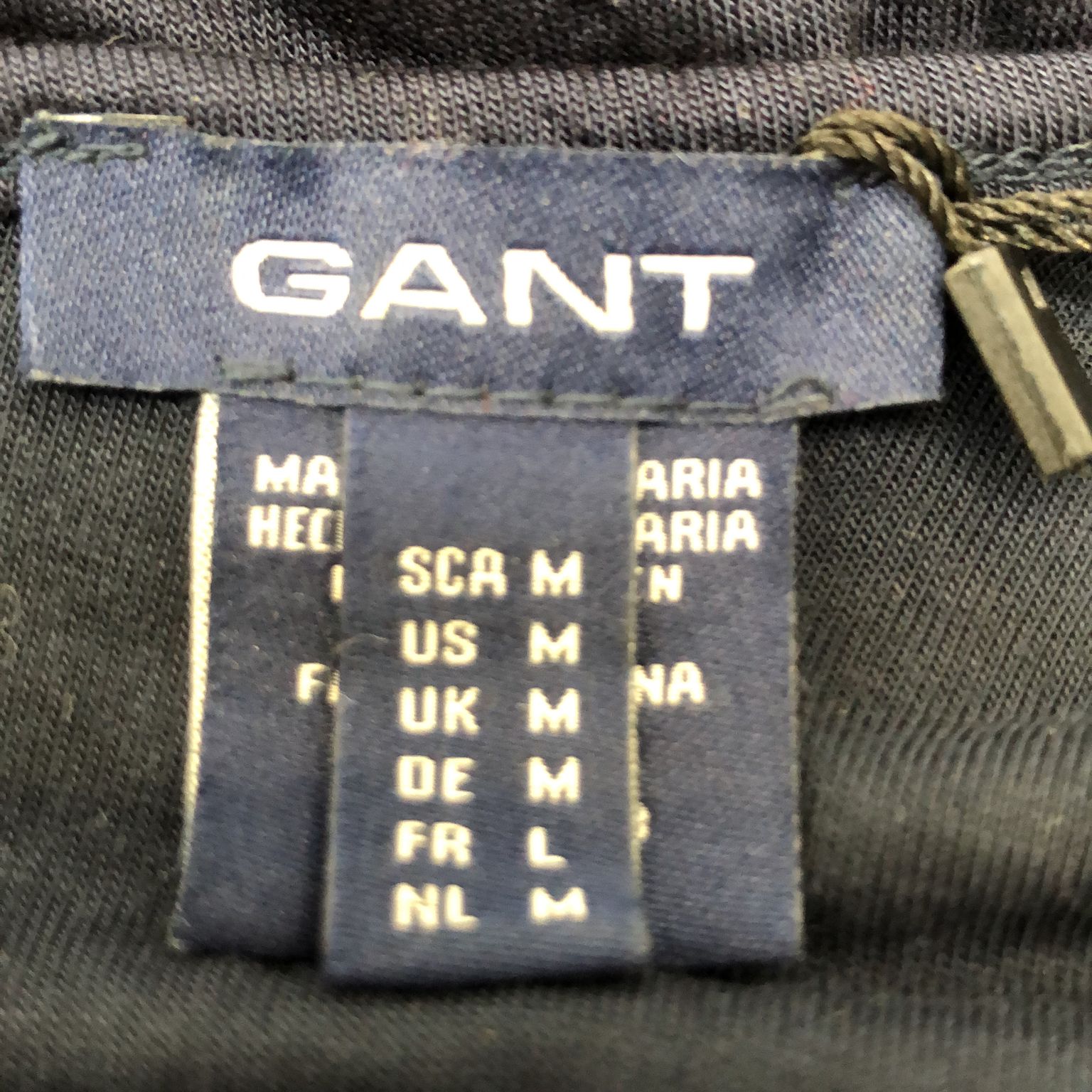 GANT