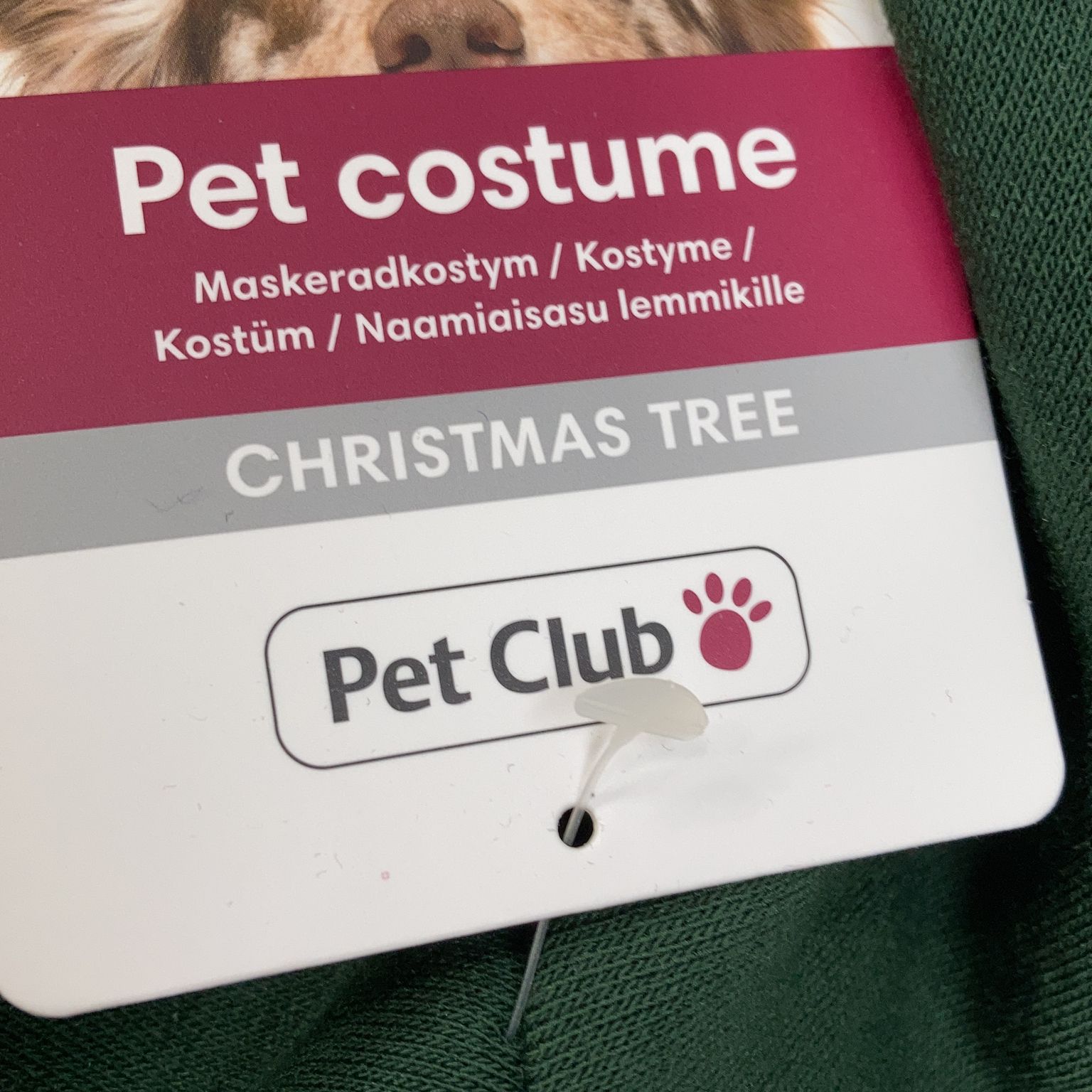 Pet Club