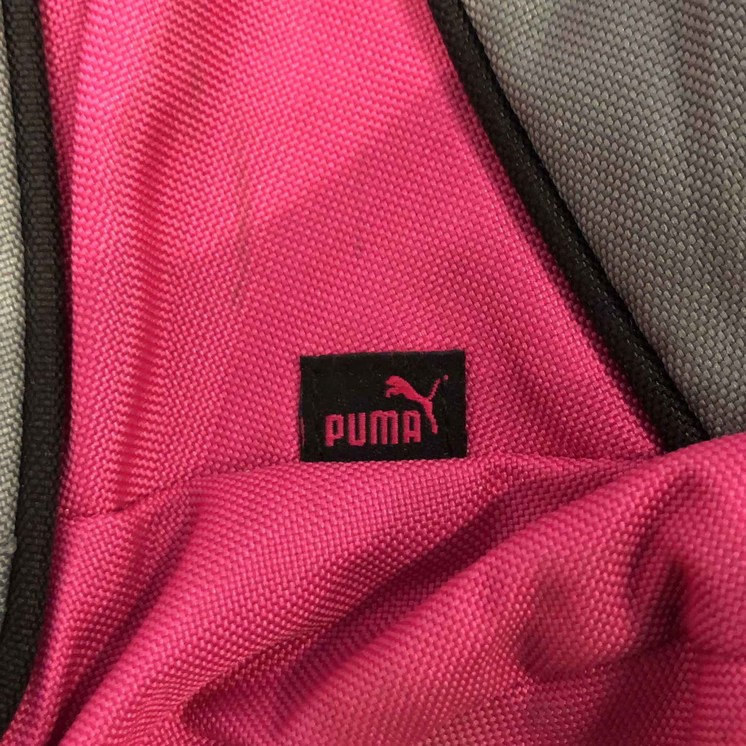 Puma