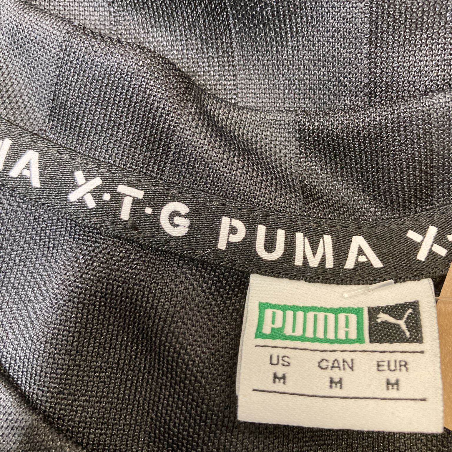 Puma