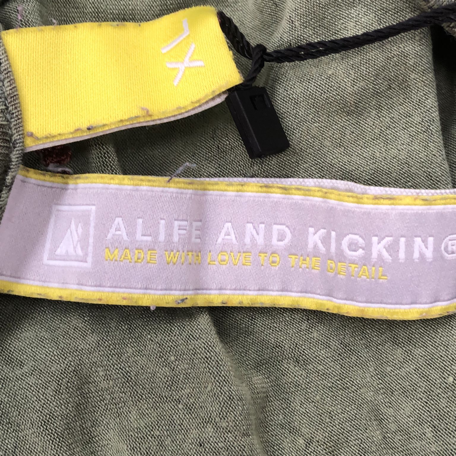 Alife and Kickin