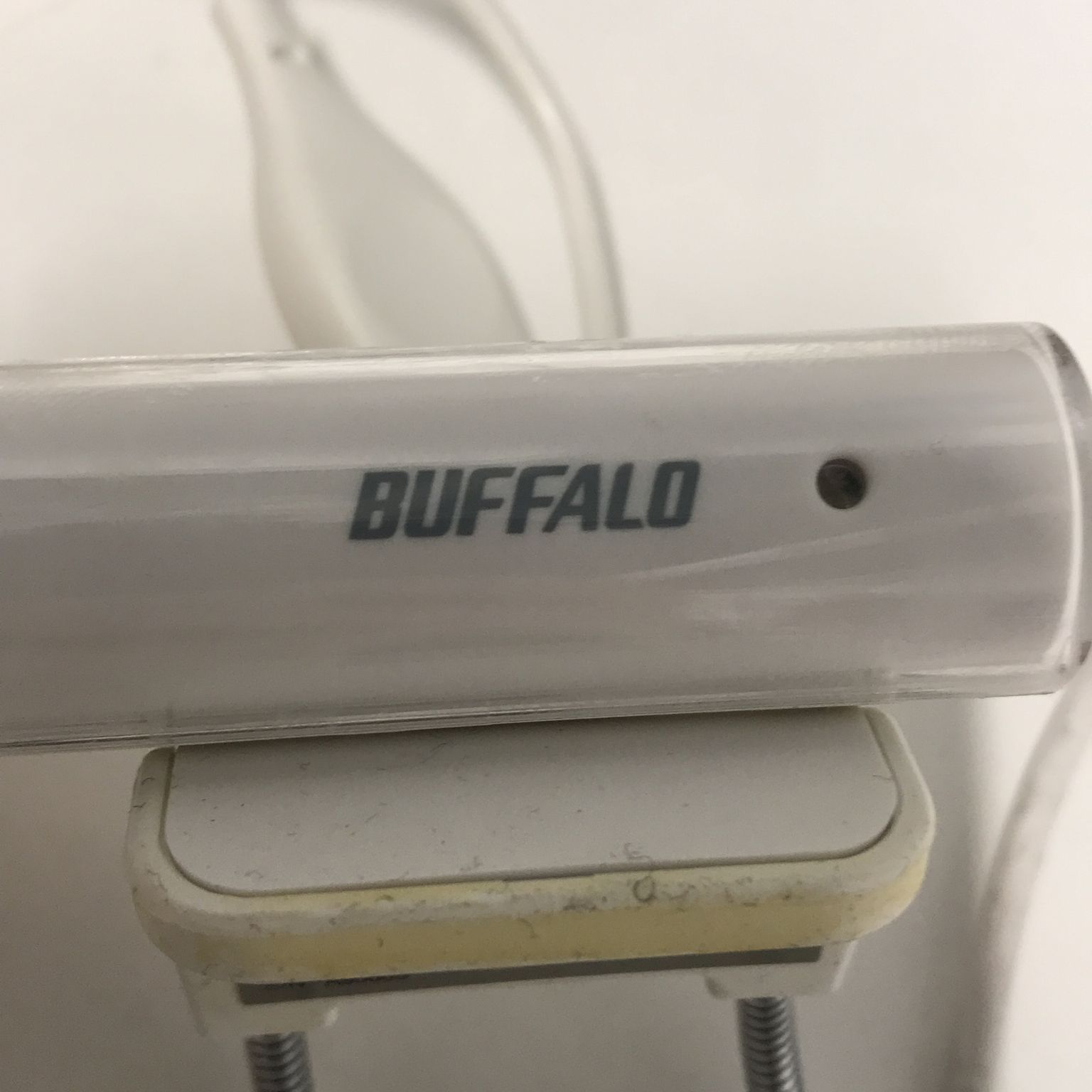 Buffalo