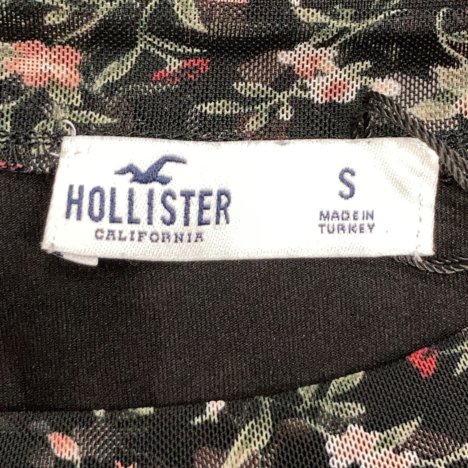 Hollister