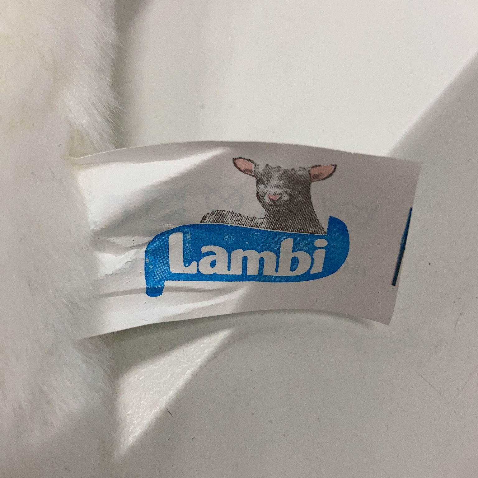 Lambi