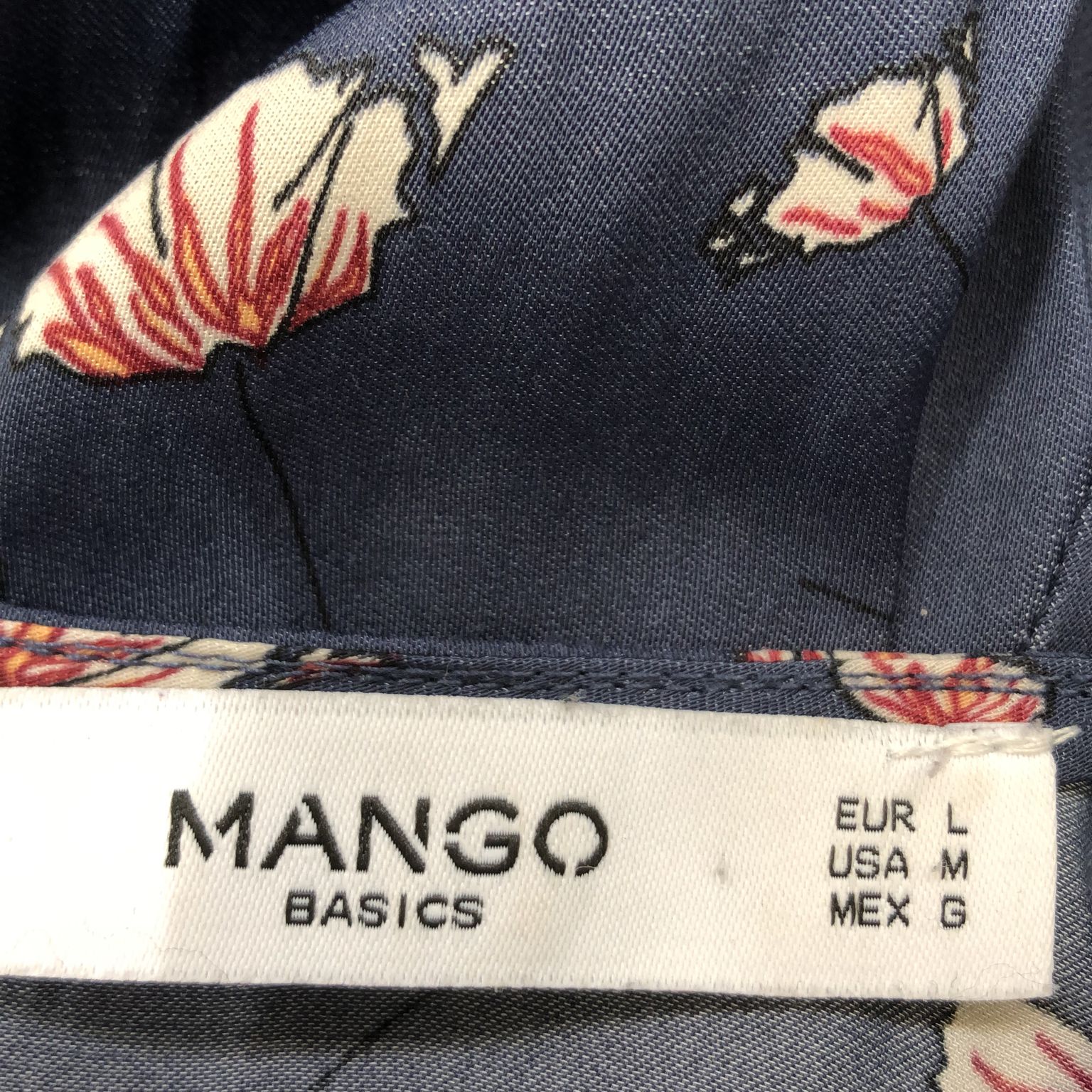 Mango Basics