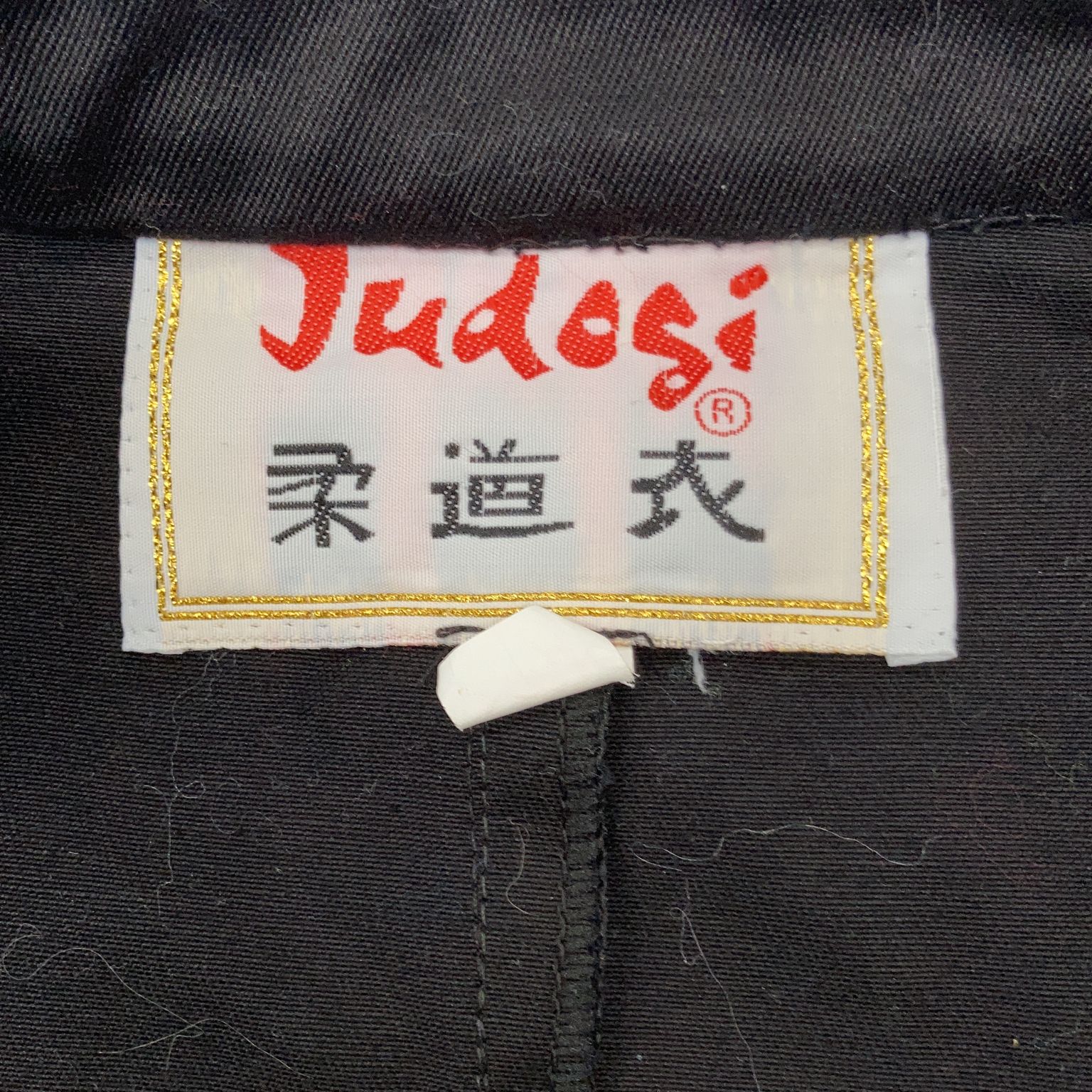 Judosi