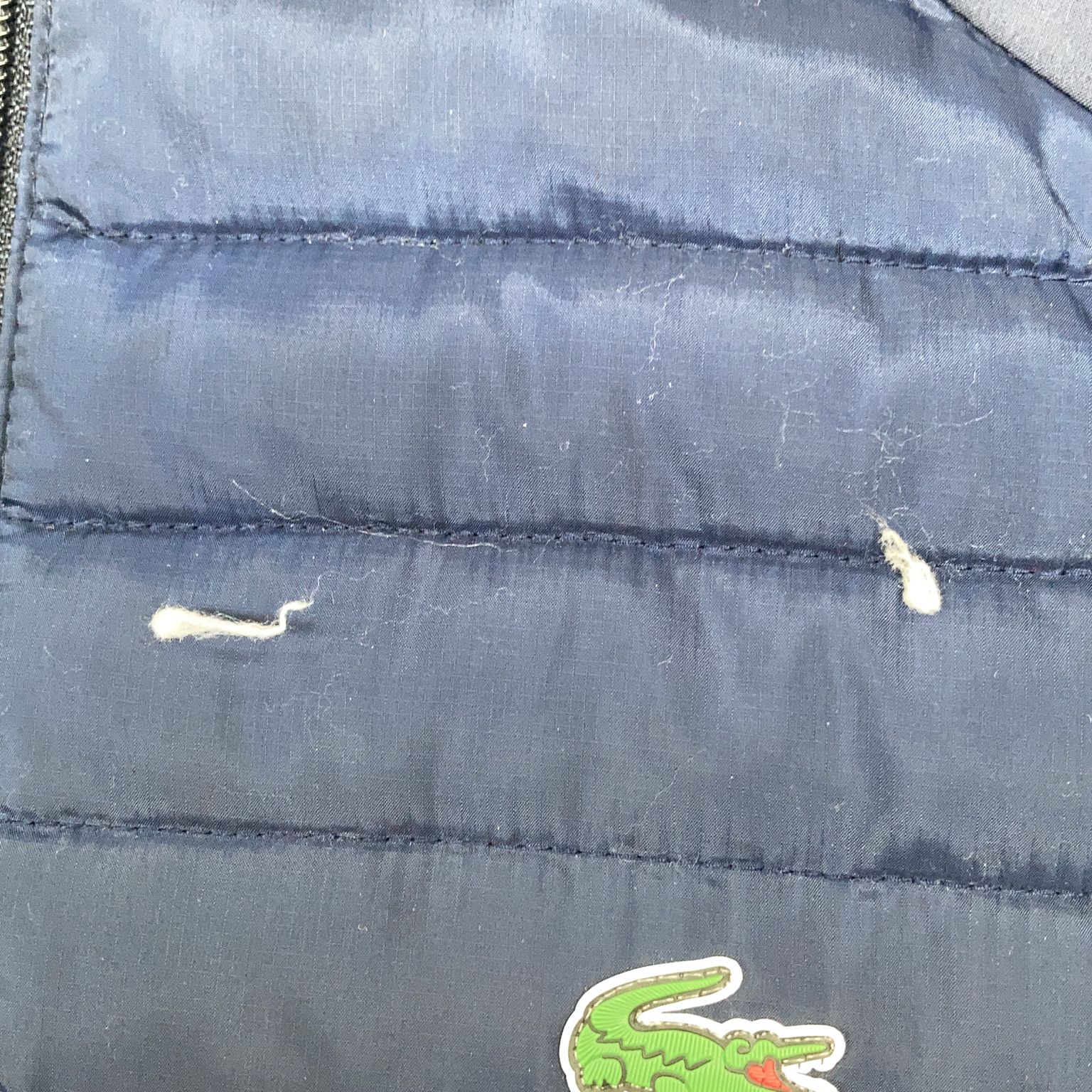 Lacoste Sport