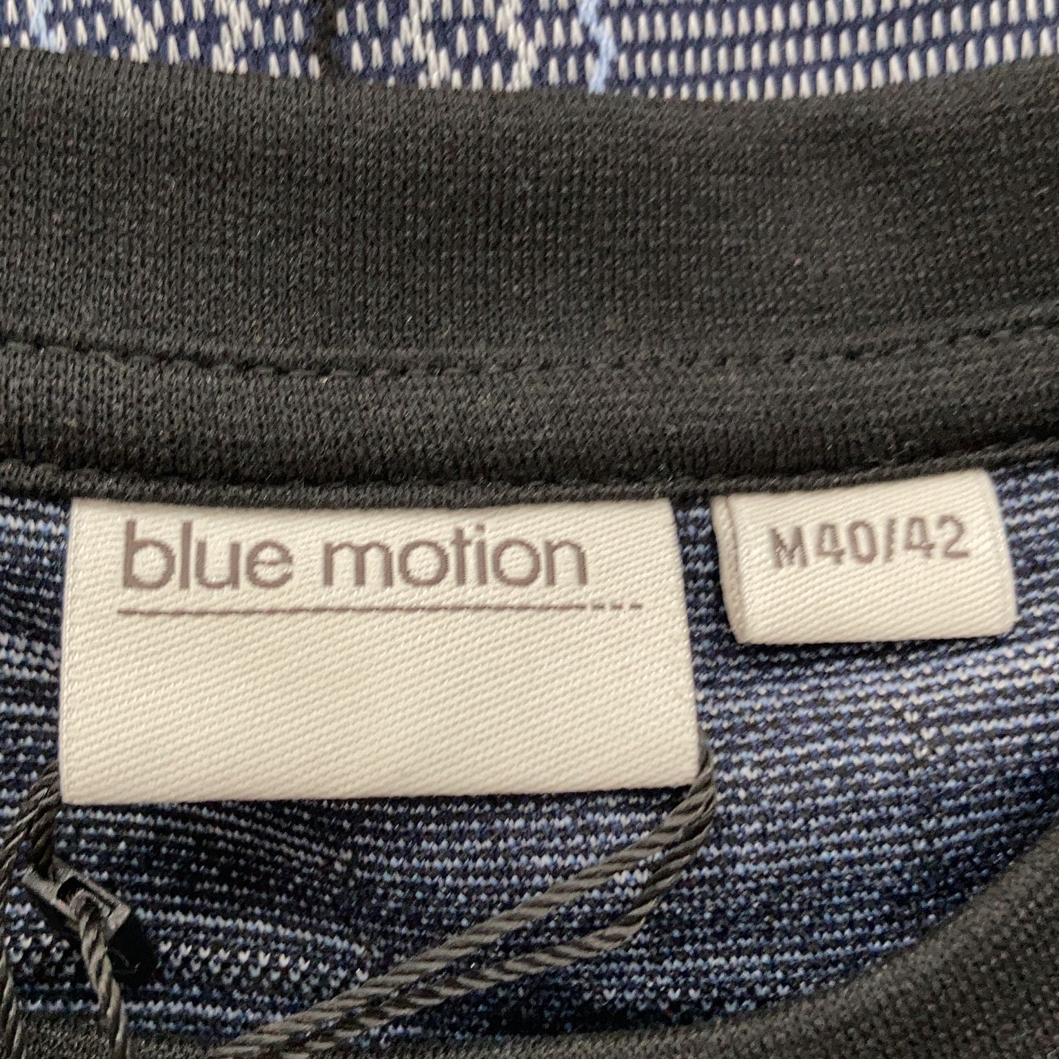 Blue Motion