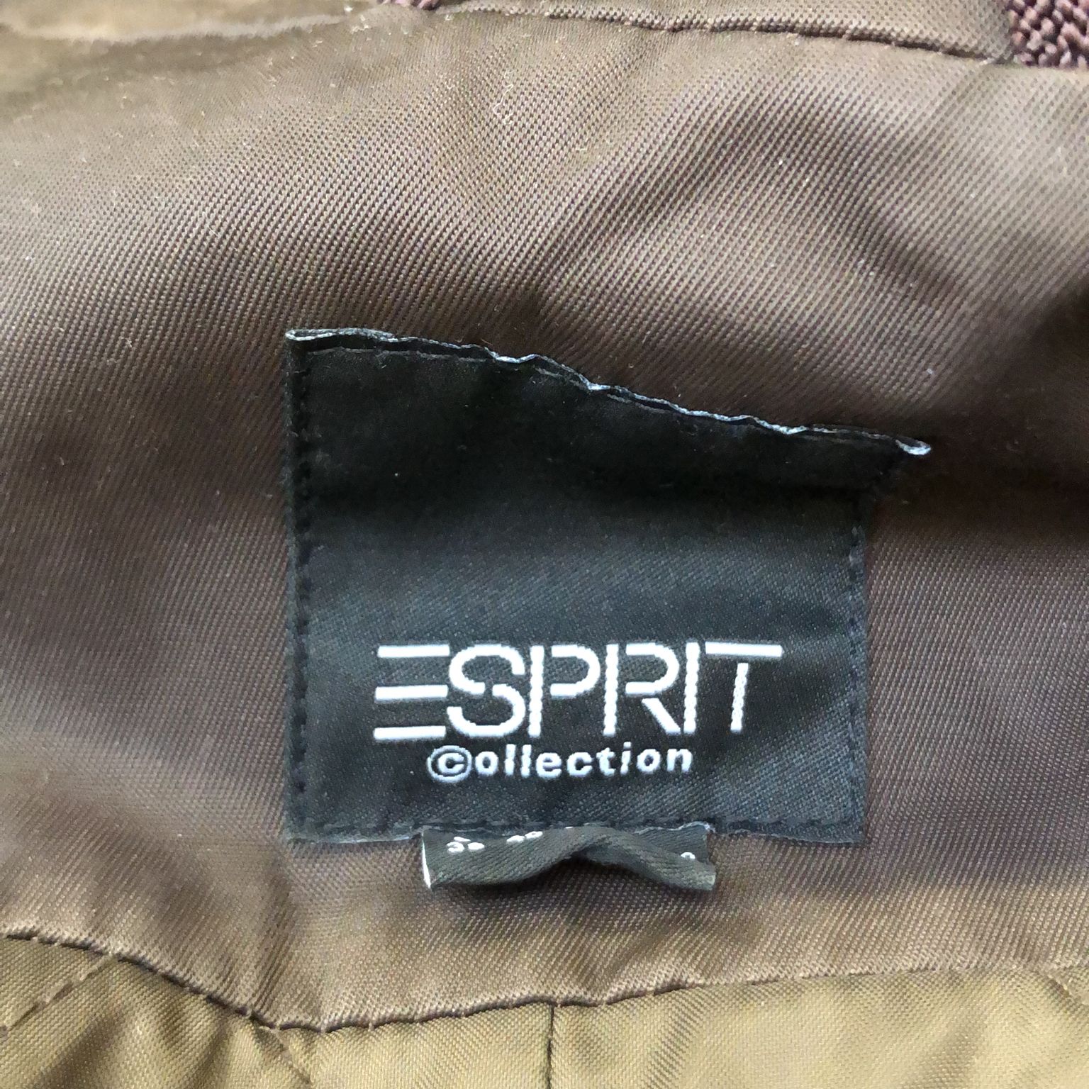 ESPRIT Collection