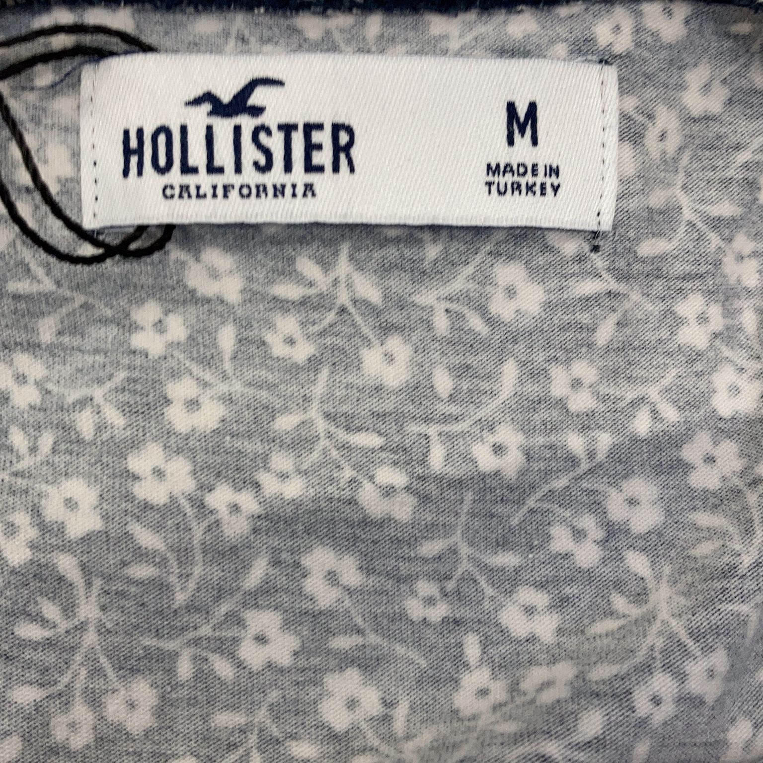 Hollister