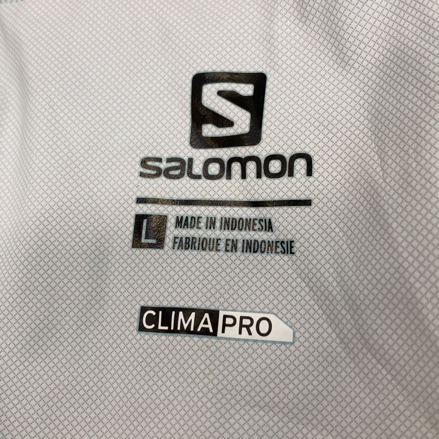 Salomon