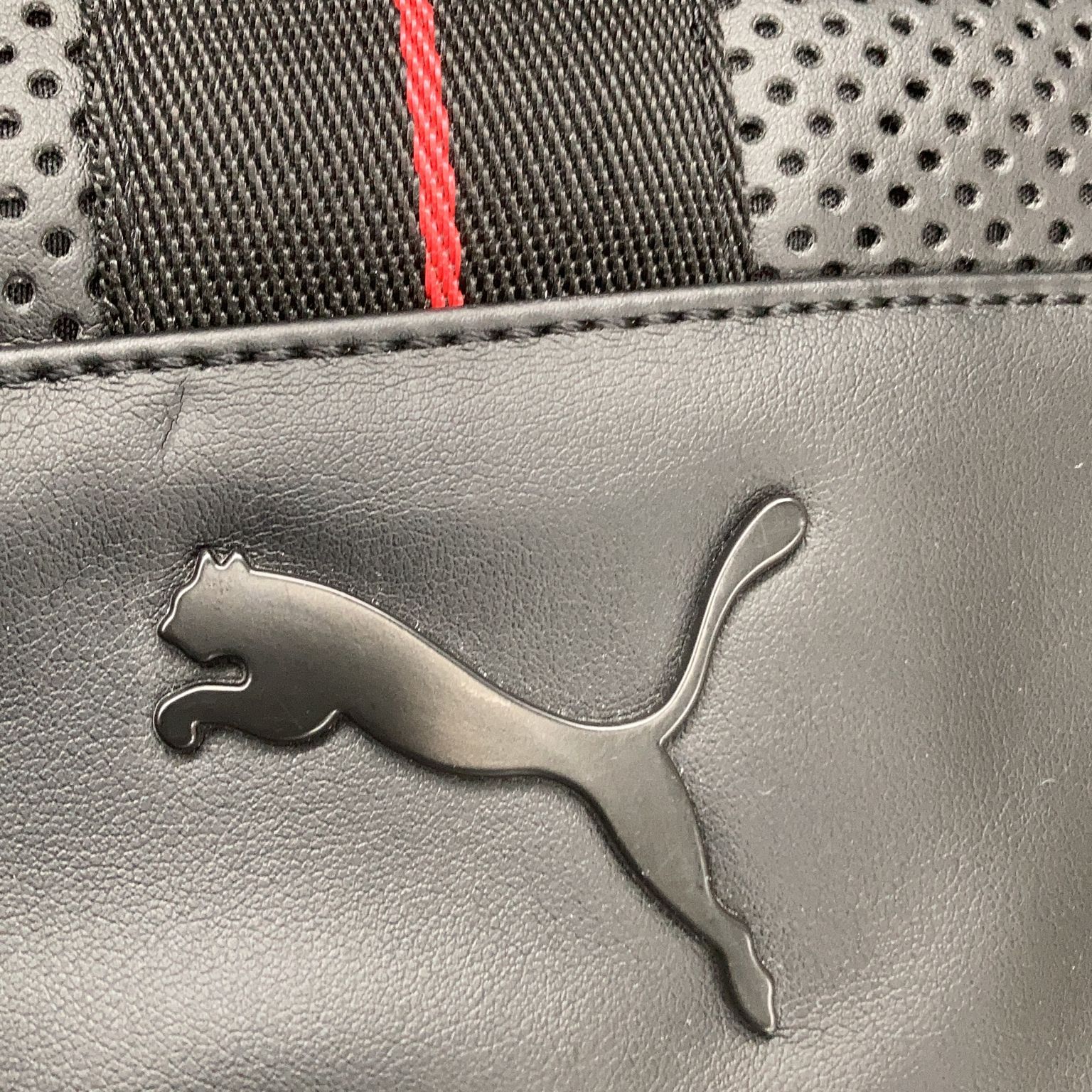 Puma