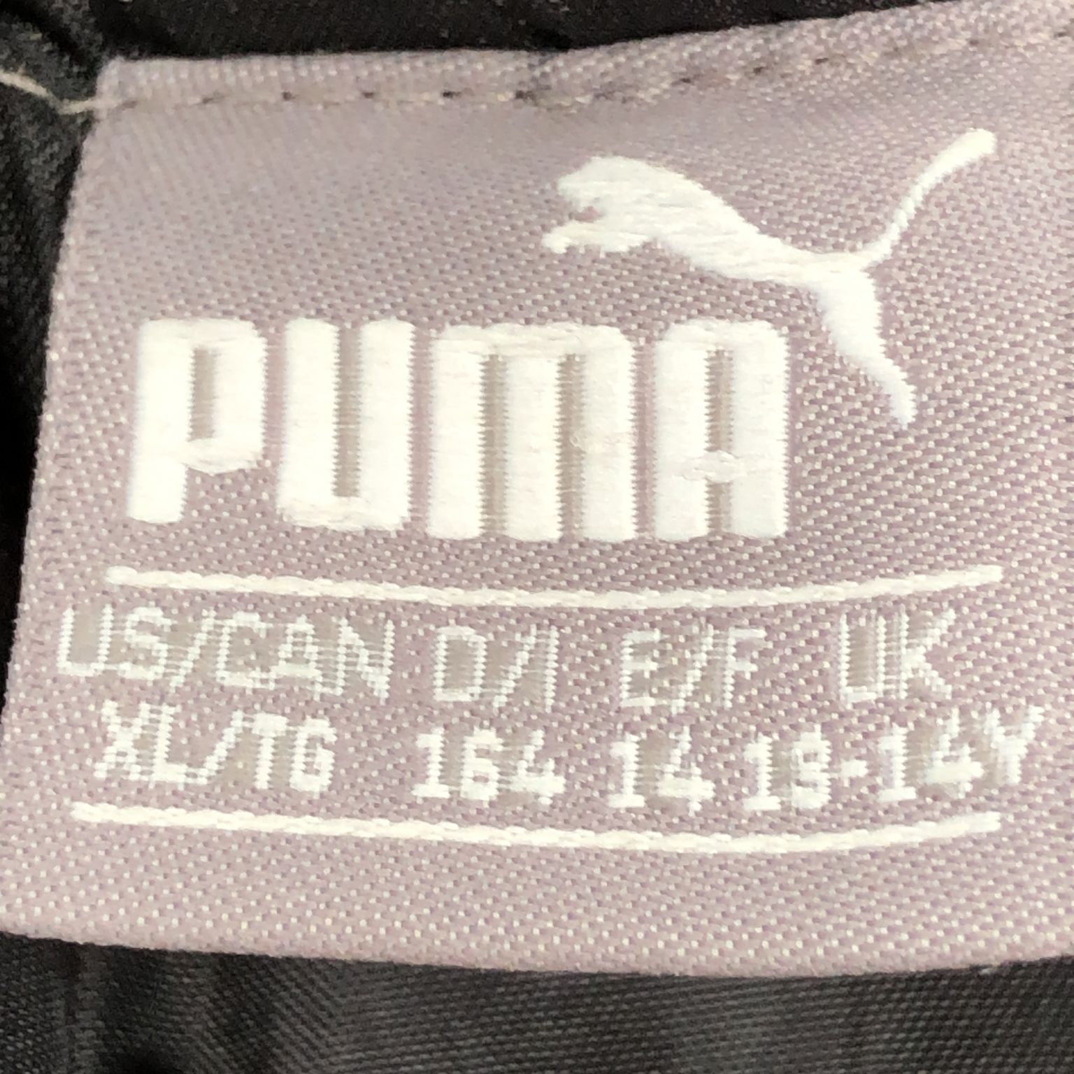 Puma