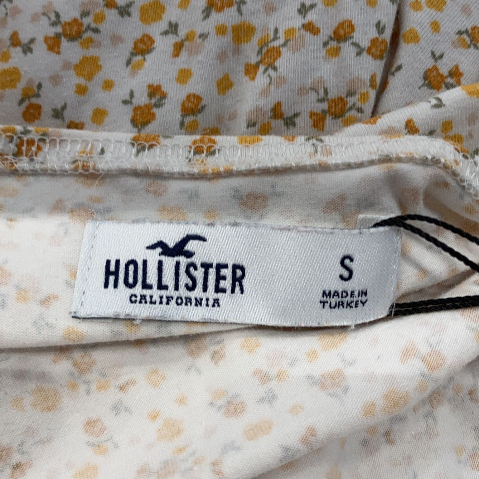 Hollister California