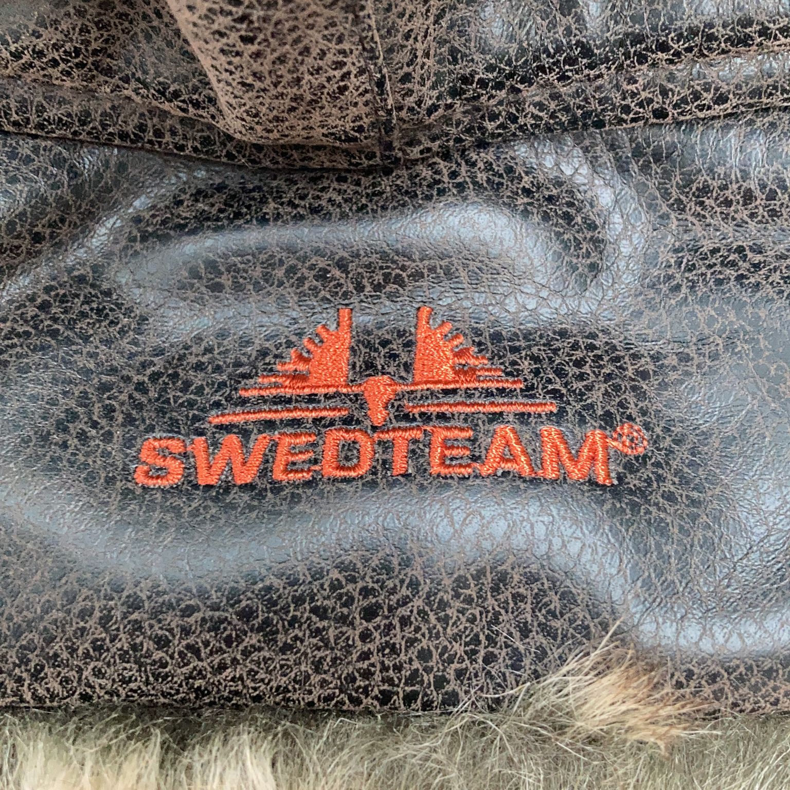 Swedteam