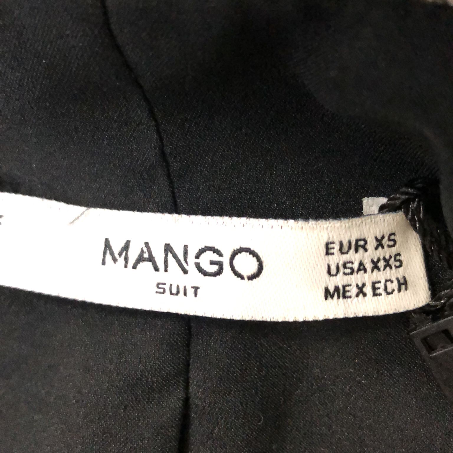 Mango Suit