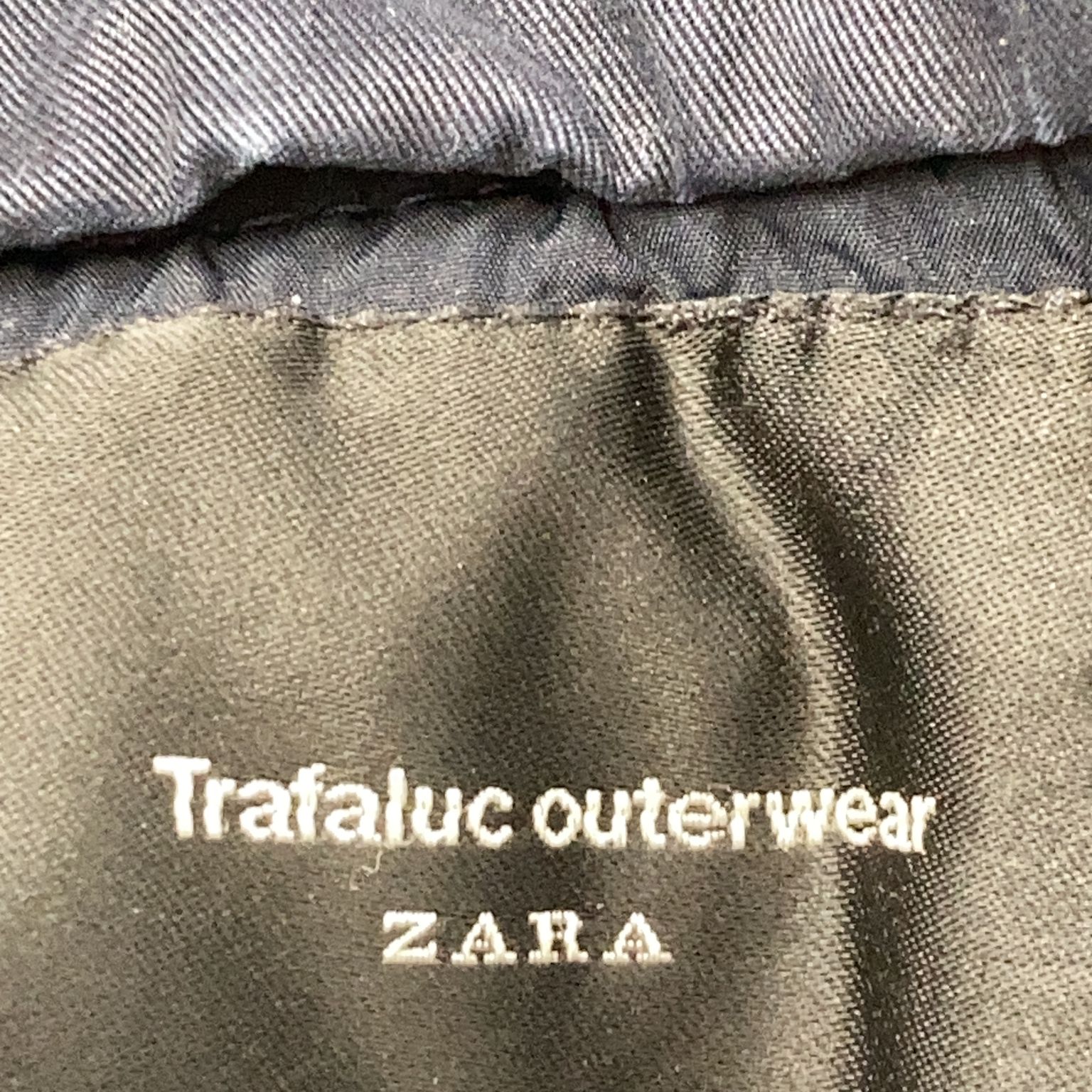 Zara Trafaluc Collection