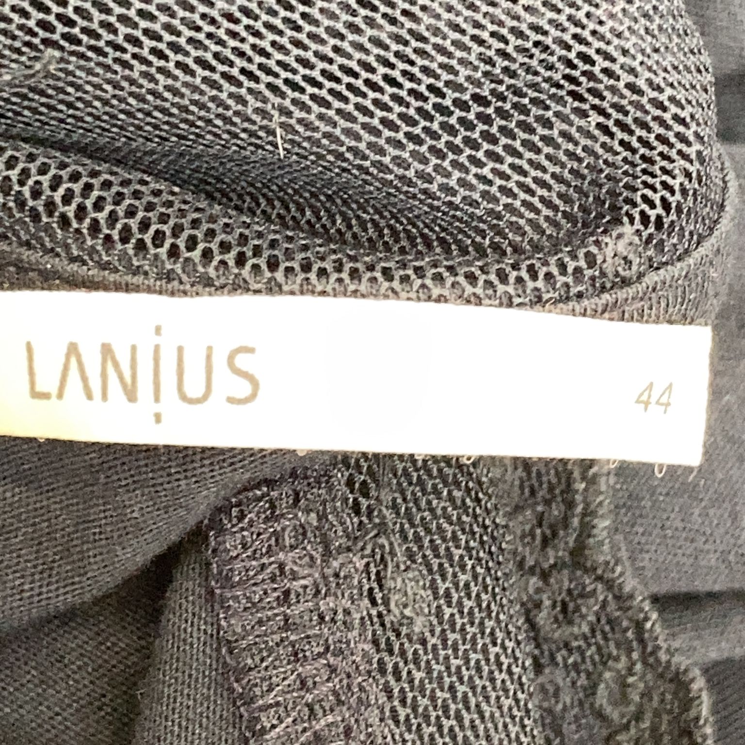 Lanius