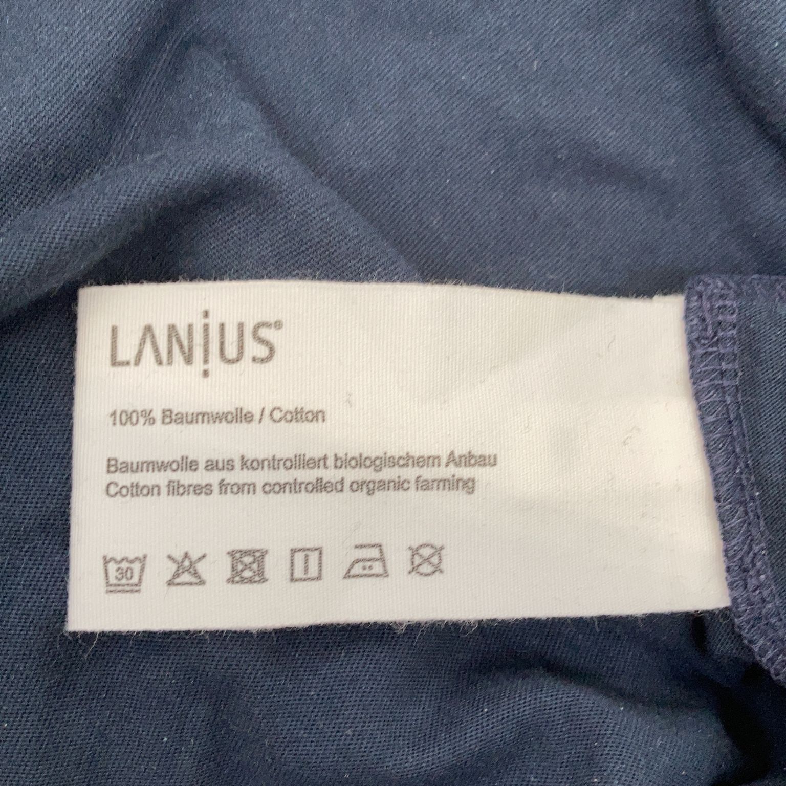 Lanius