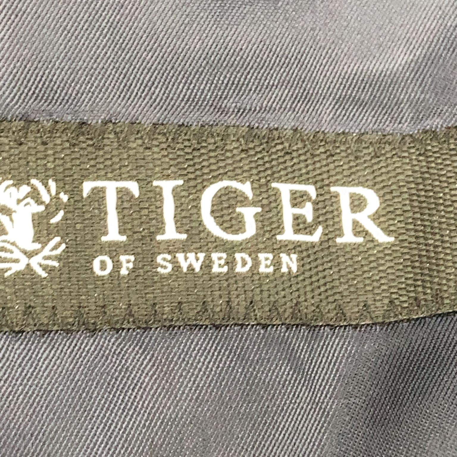 Tiger of Sweden