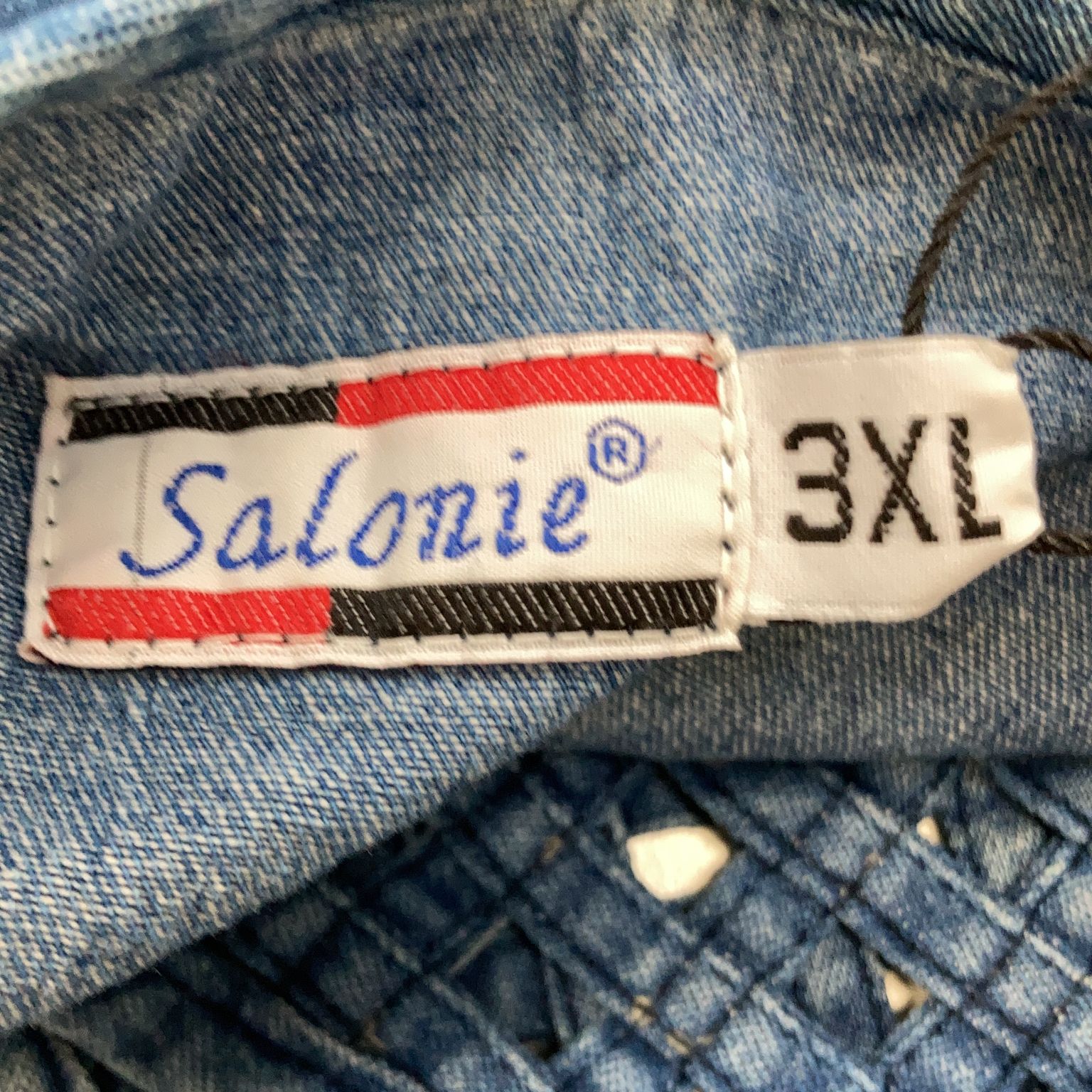 Salonie