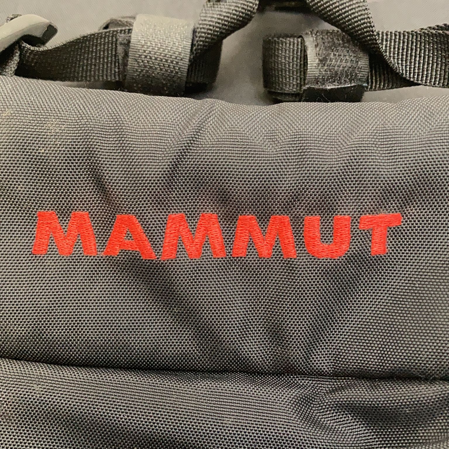 Mammut