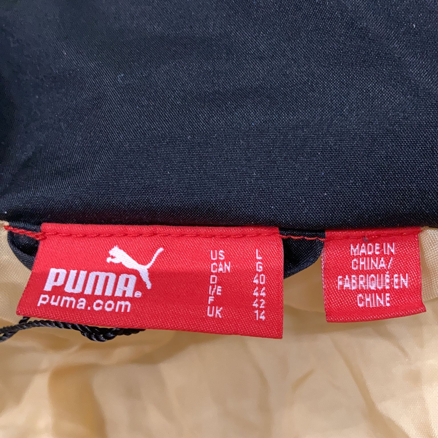 Puma